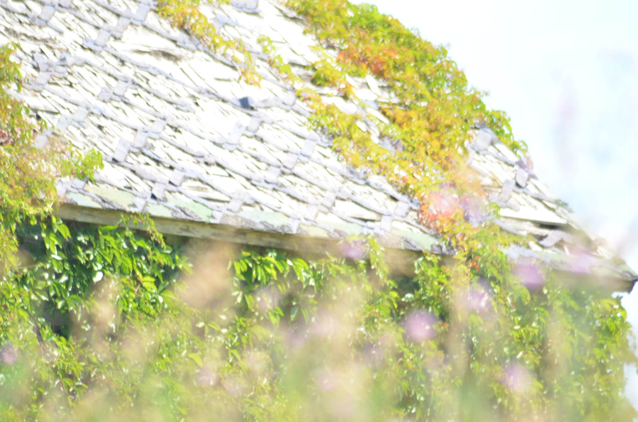 Sigma 70-300mm F4-5.6 APO Macro Super II sample photo. Old barn photography