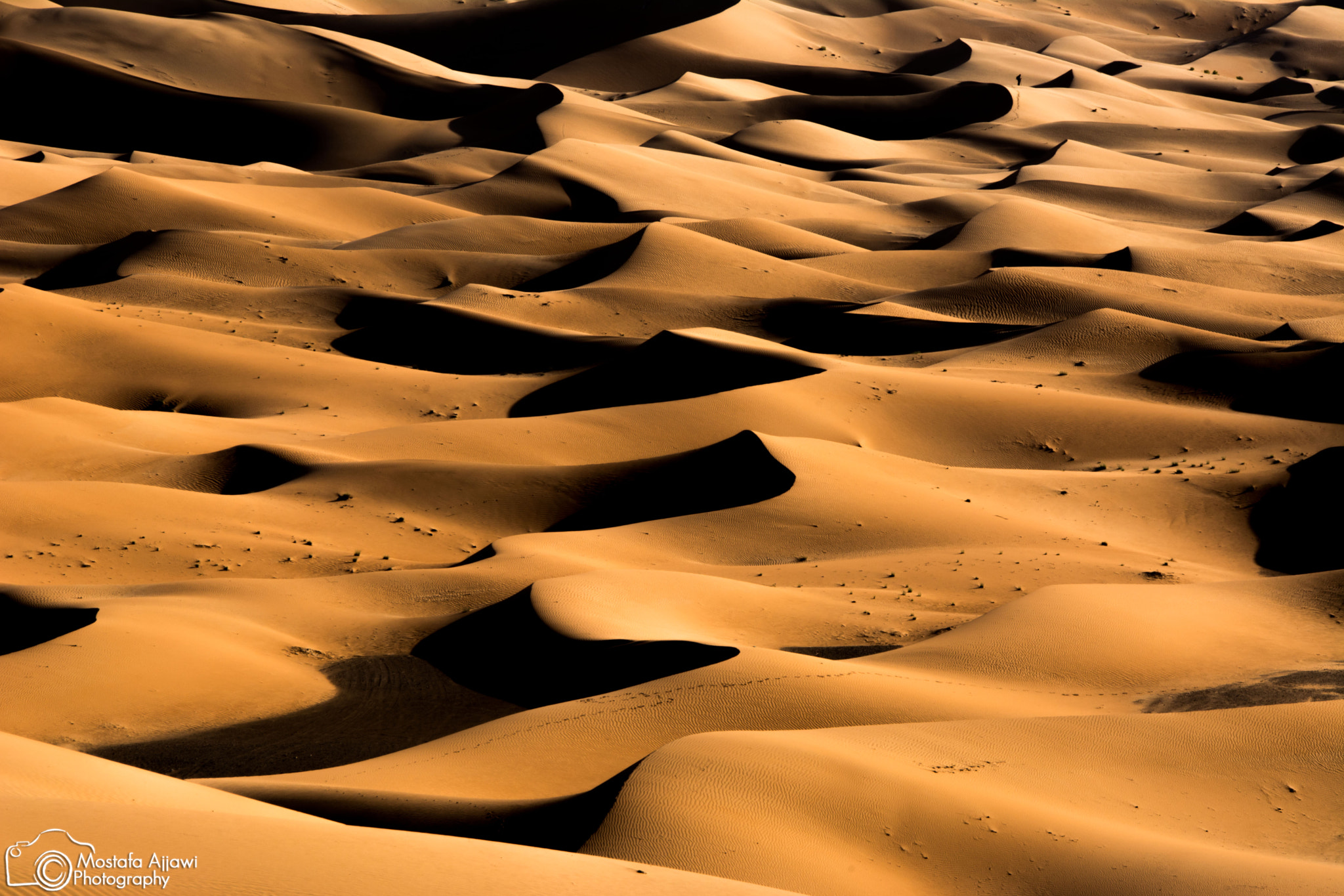 Empty Quarter Desert