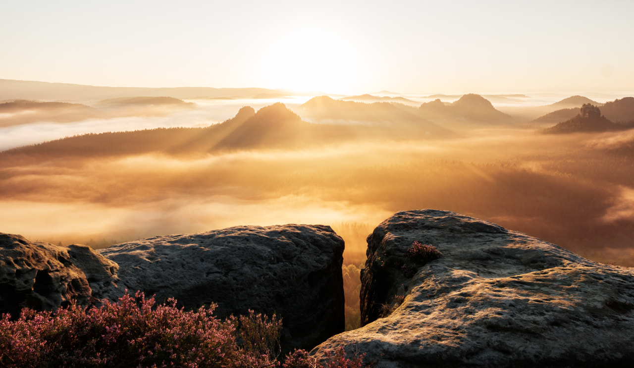 golden sunrise