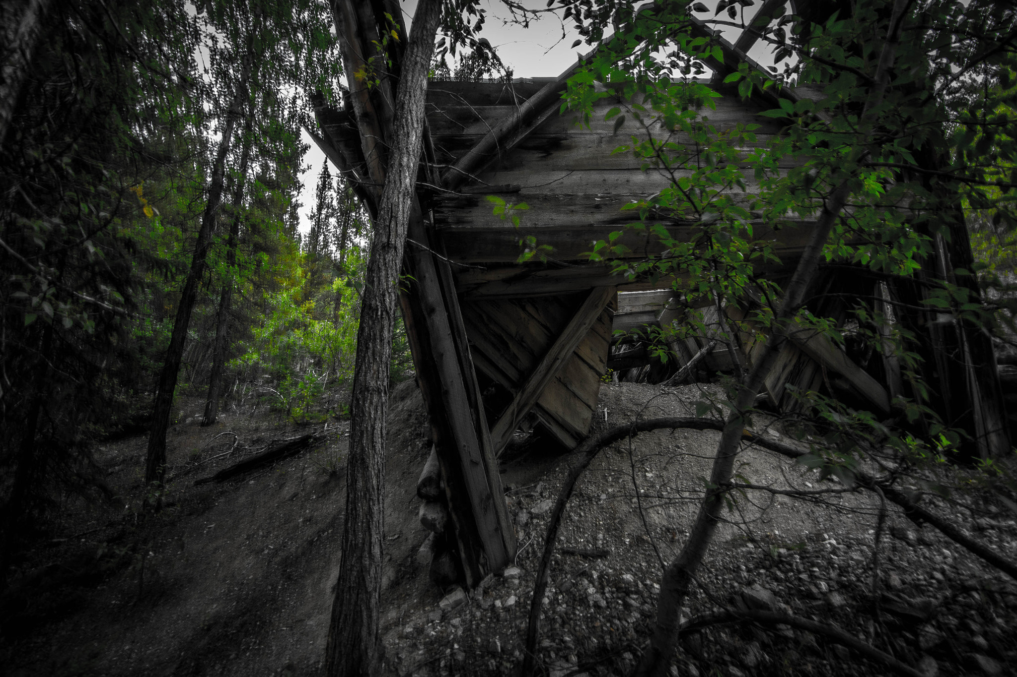 v2?sig=519320808a951b58357ab5c1be795b63b