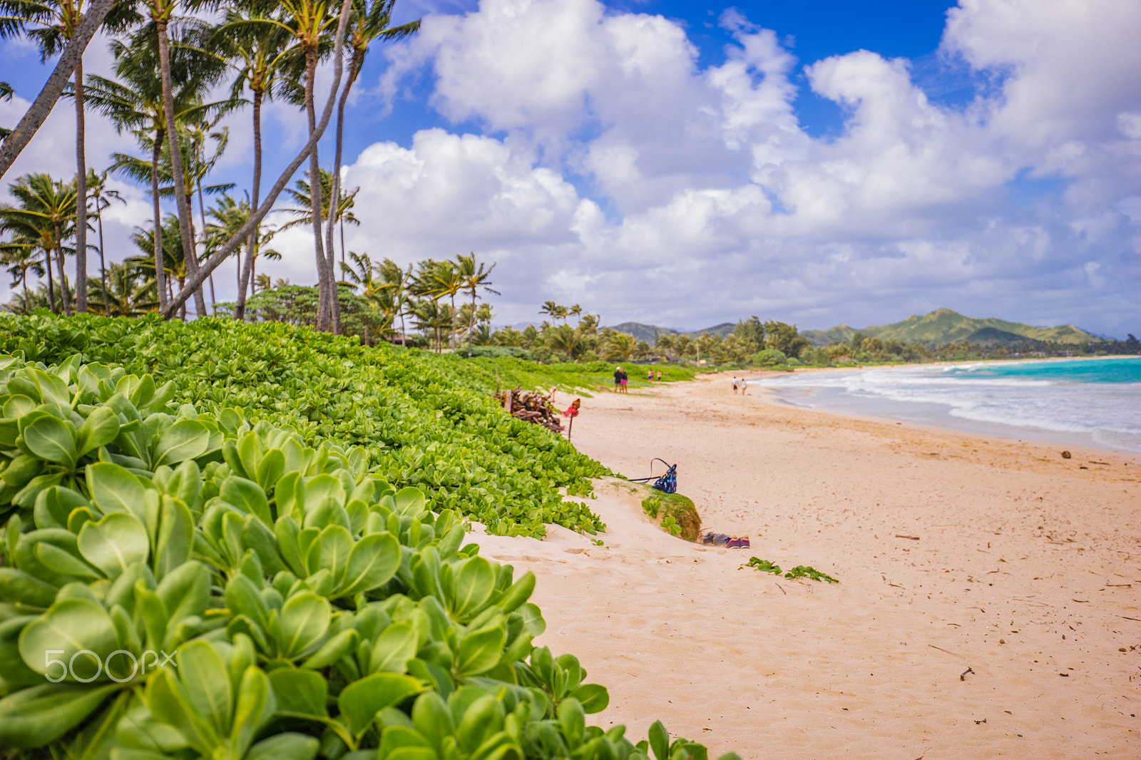 Sony a7 II + Canon EF 16-35mm F4L IS USM sample photo. Kailua beach photography