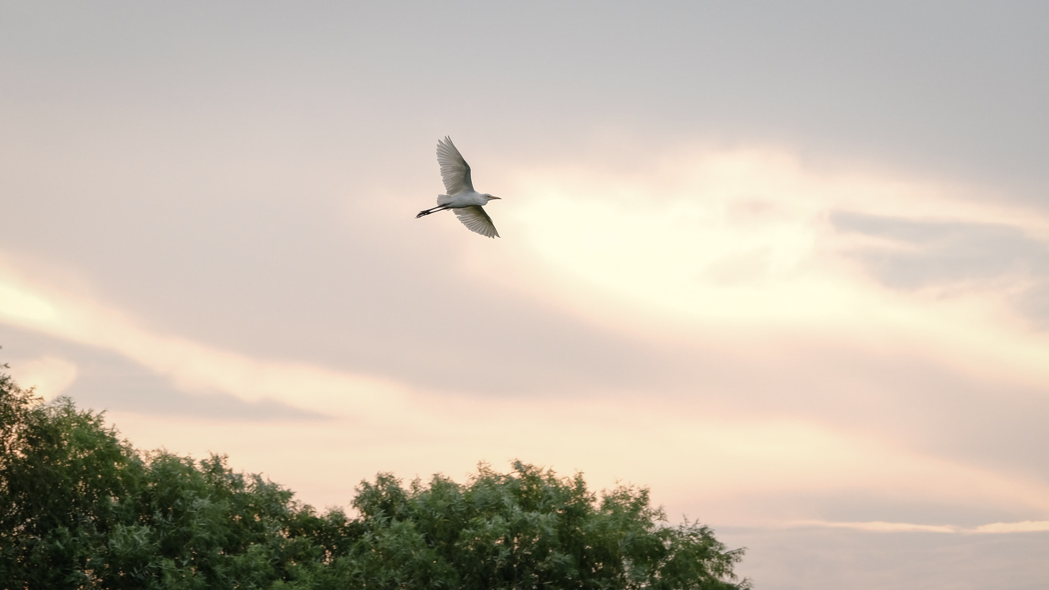 Fujifilm XF 100-400mm F4.5-5.6 R LM OIS WR sample photo