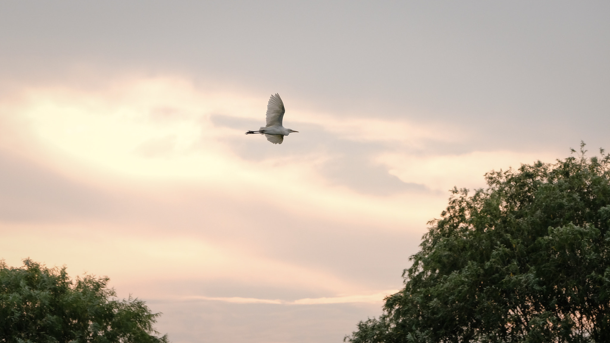 Fujifilm XF 100-400mm F4.5-5.6 R LM OIS WR sample photo