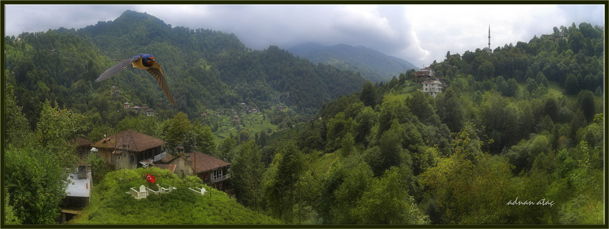 Sigma 50-500mm F4.5-6.3 DG OS HSM sample photo. Rize - hemşin photography
