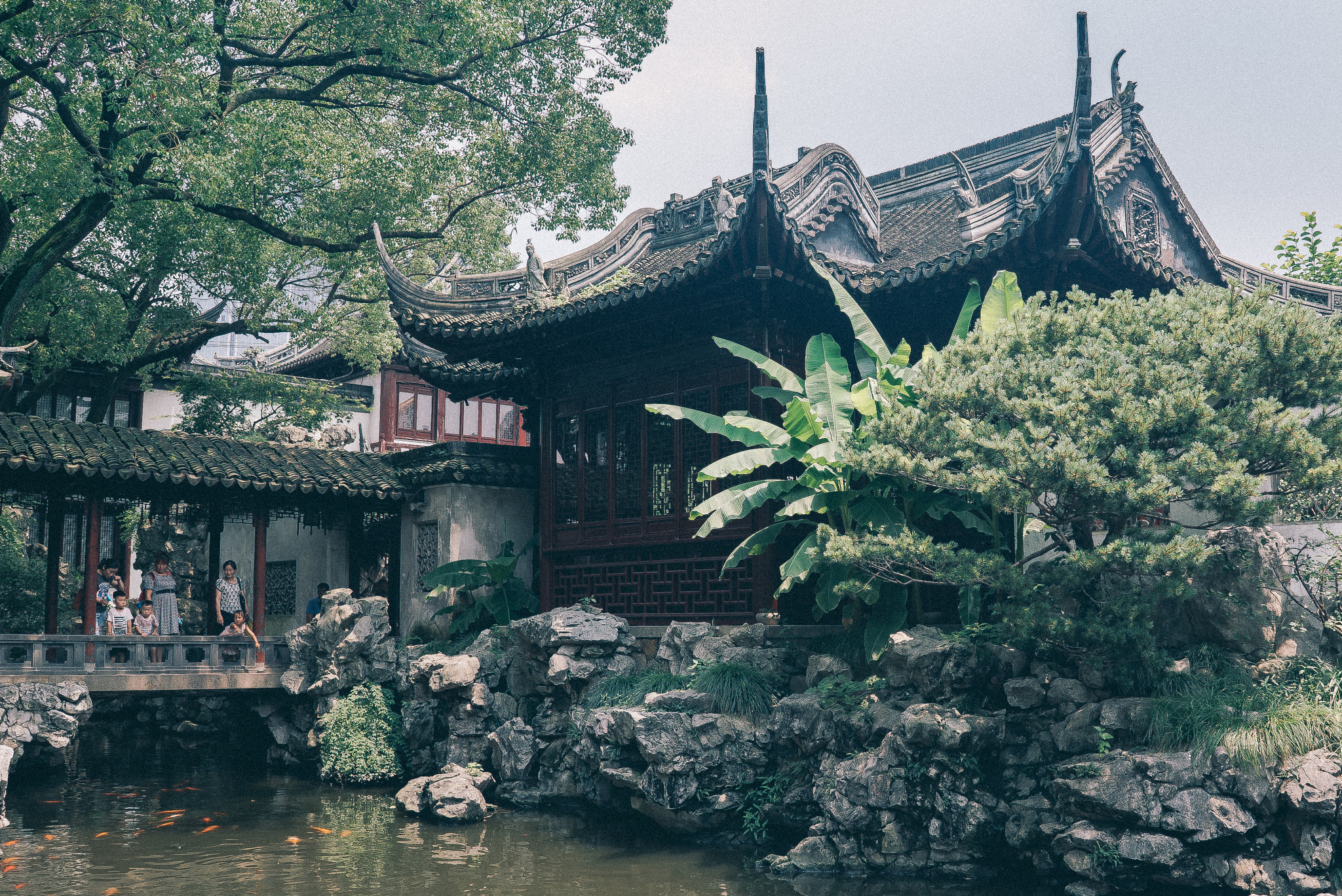 Sony FE 28mm F2 sample photo. Green photography