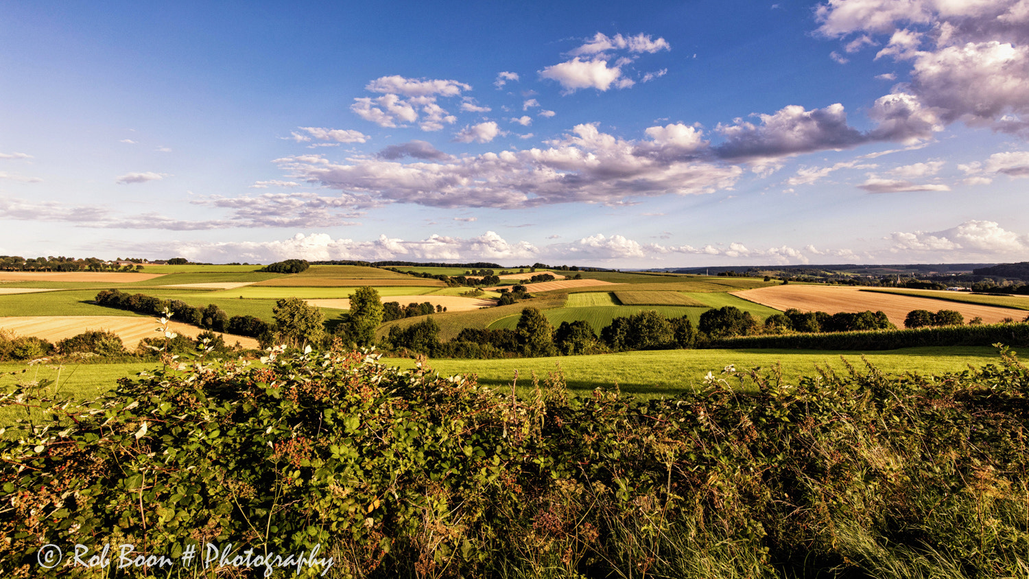 Canon EOS 5DS + Canon EF 16-35mm F4L IS USM sample photo. Ransdalerveld photography