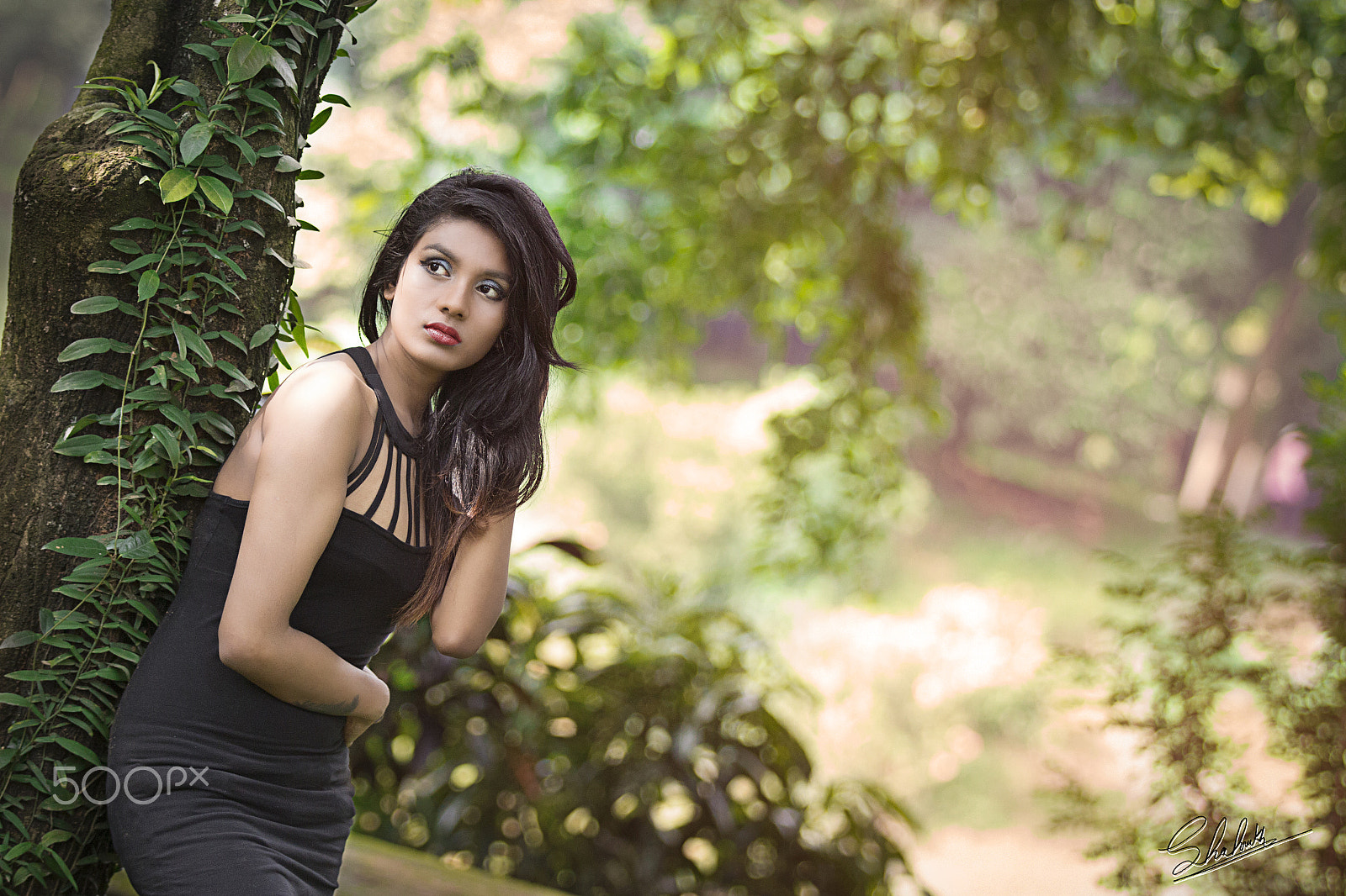 Canon EF 70-200mm F2.8L IS II USM sample photo. Sifa © photography