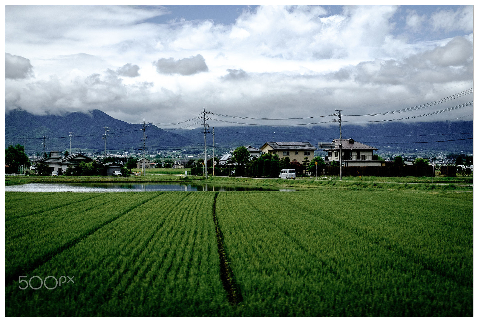 Fujifilm X-T10 + Fujifilm XC 16-50mm F3.5-5.6 OIS sample photo. Rice fields in japan photography
