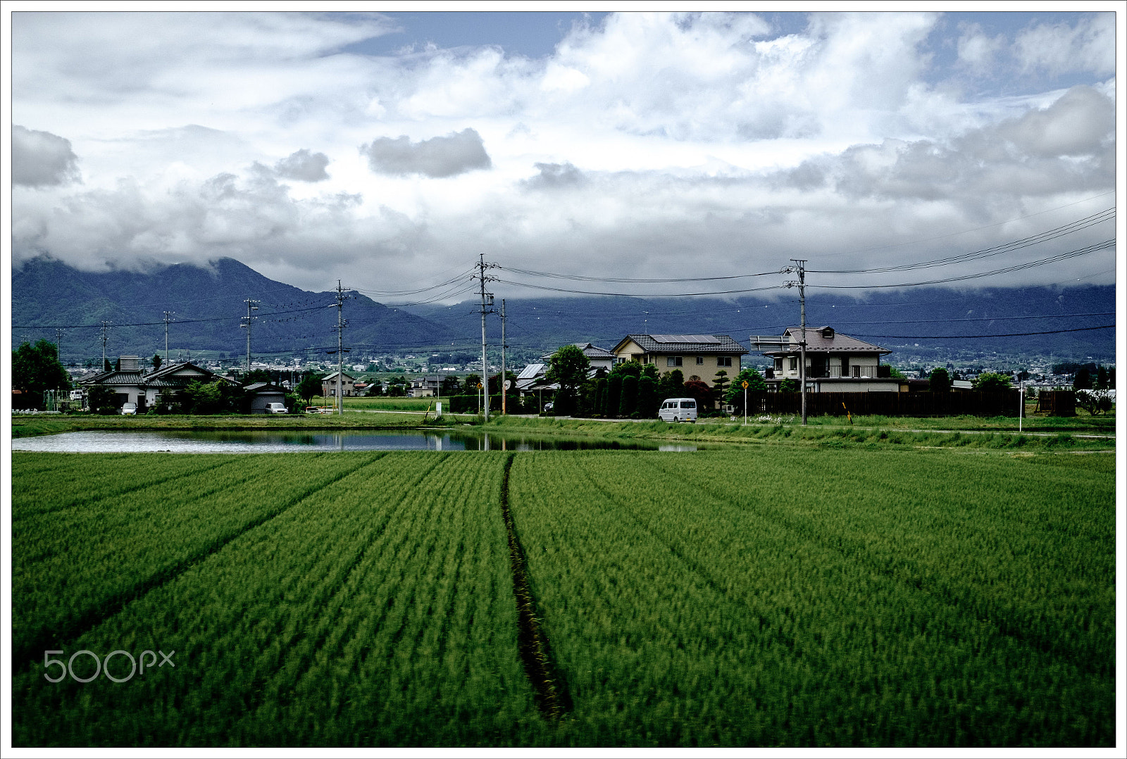 Fujifilm XC 16-50mm F3.5-5.6 OIS sample photo. Rice fields in japan photography