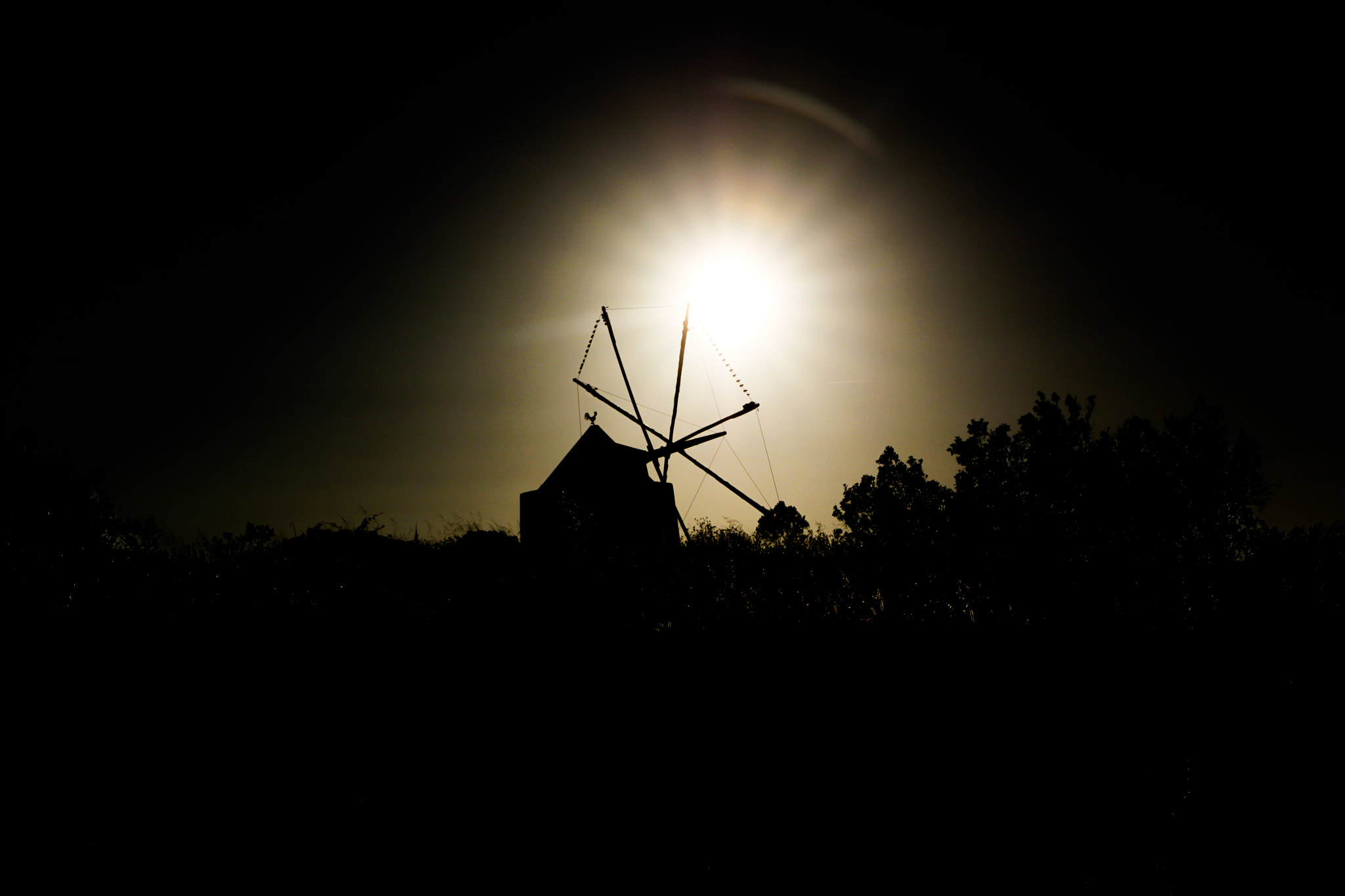Canon EOS 500D (EOS Rebel T1i / EOS Kiss X3) + Sigma 24-70mm F2.8 EX DG Macro sample photo. . photography