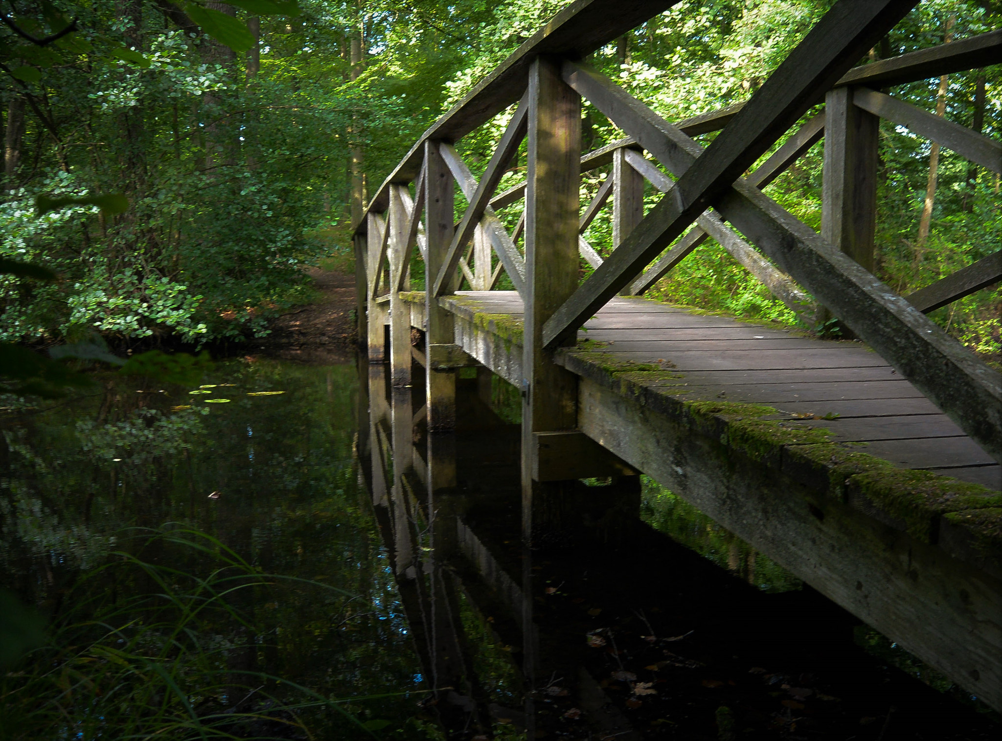 Nikon 1 S1 sample photo. The crossing... photography