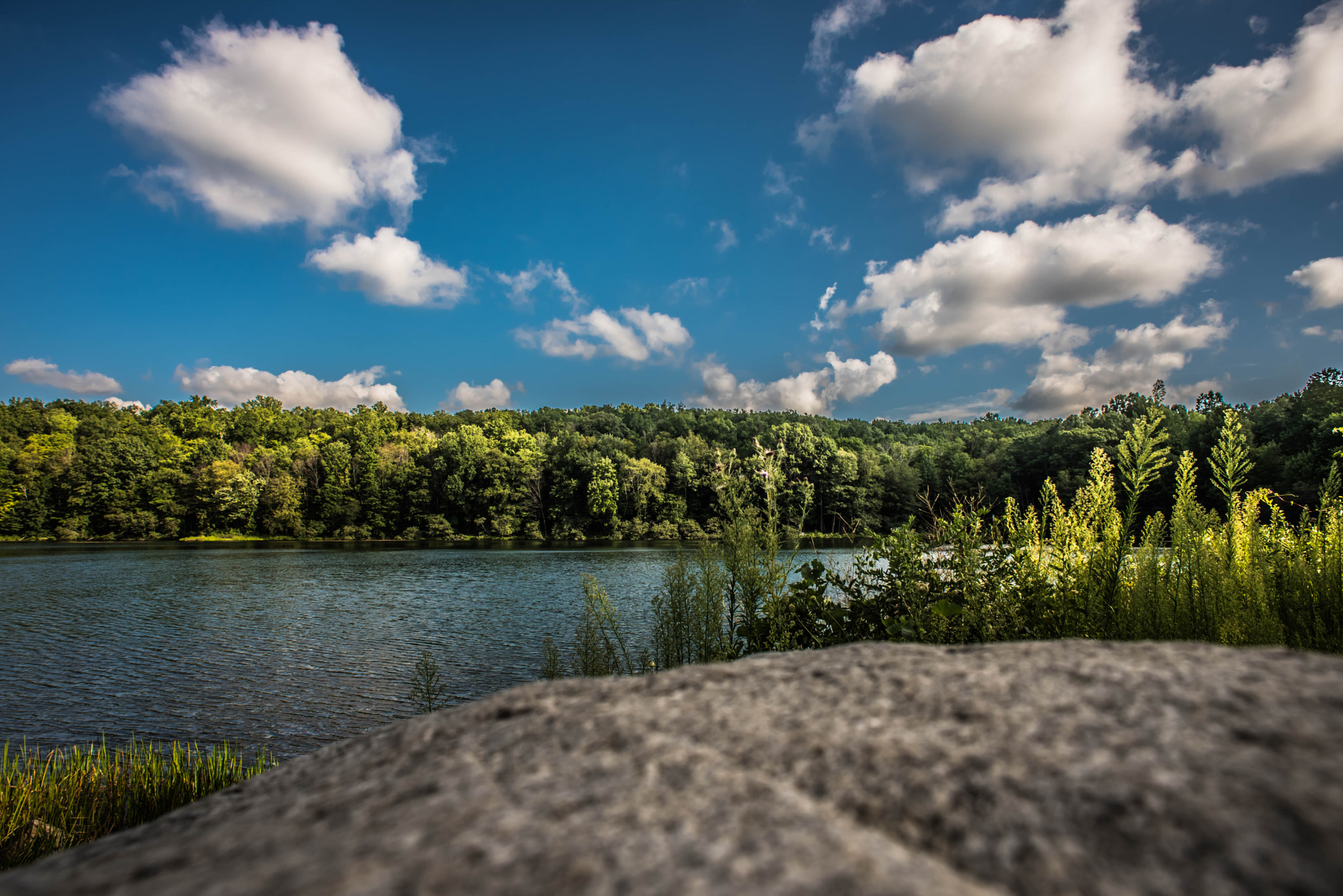 Nikon D750 + Nikon AF Nikkor 20mm F2.8D sample photo. Reservoir park photography