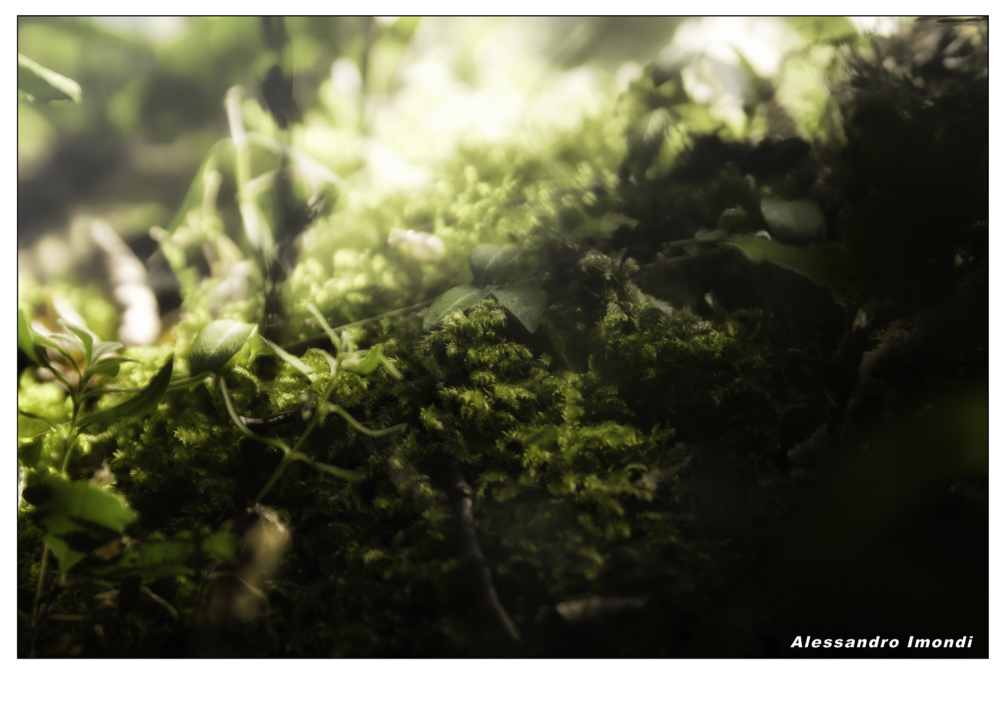 Sigma 28-200mm F3.5-5.6 Compact Aspherical Hyperzoom Macro sample photo. Mugello photography