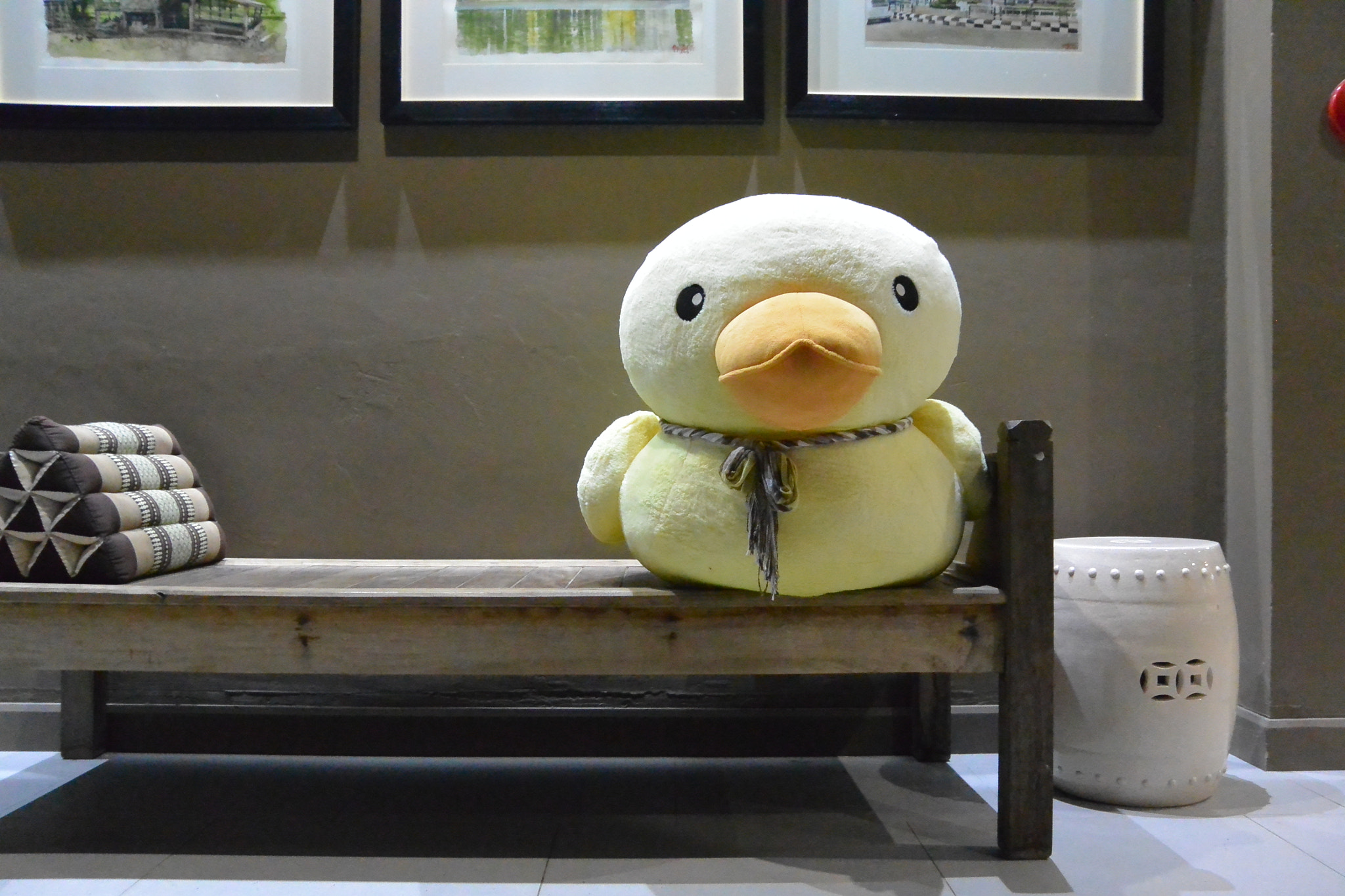 Nikon 1 V2 sample photo. Resting duck photography