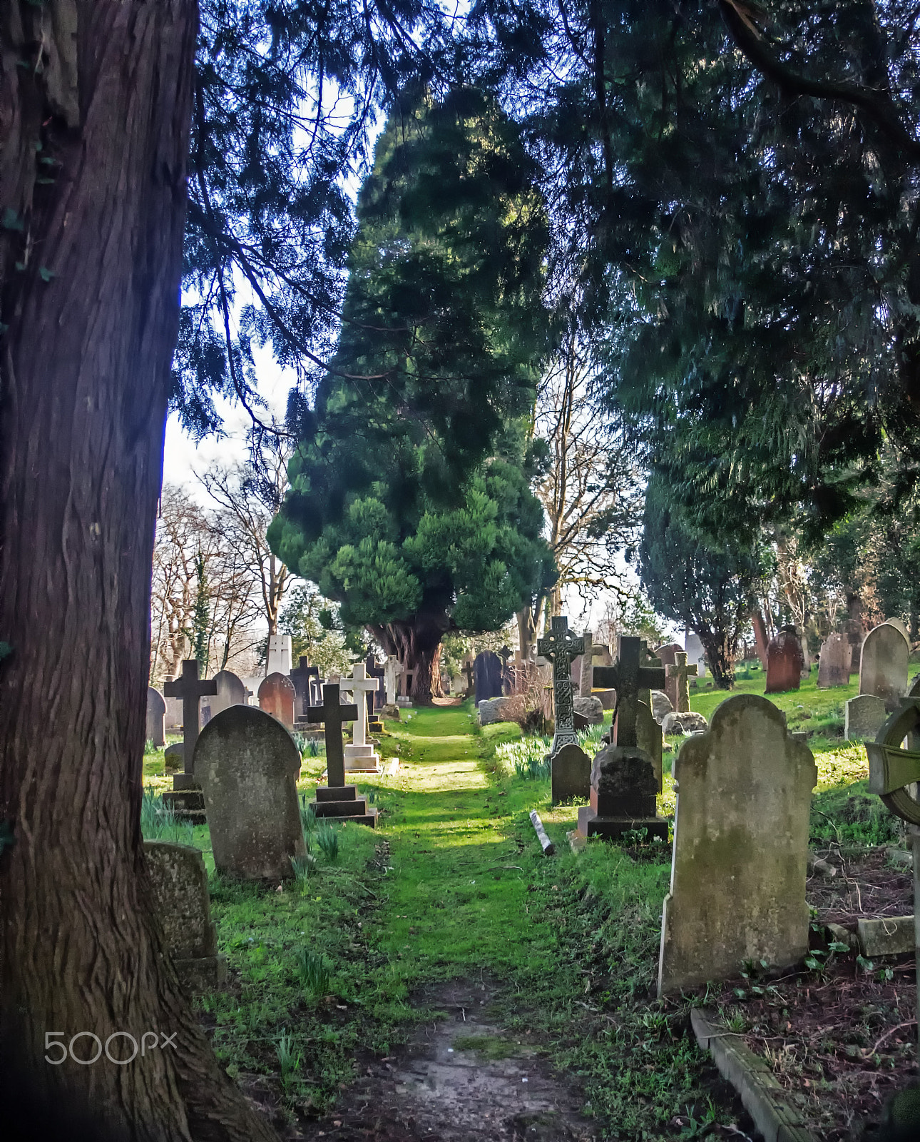 Sony DT 18-250mm F3.5-6.3 sample photo. Grave stones photography