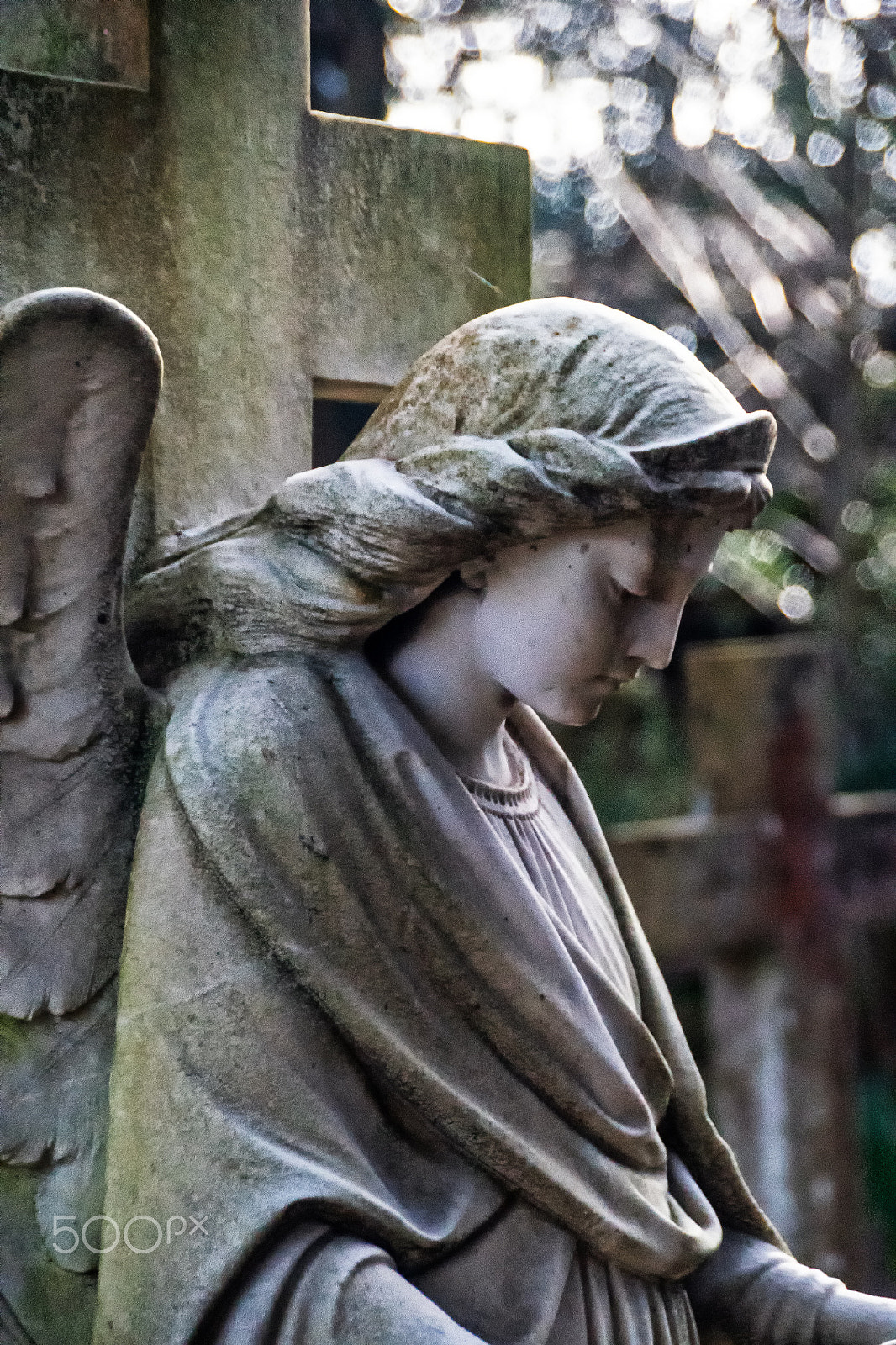 Sony DT 18-250mm F3.5-6.3 sample photo. Angel photography