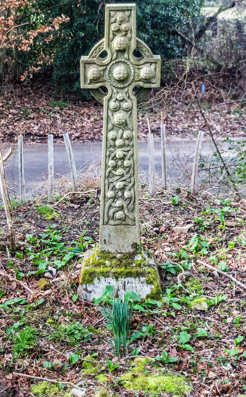 Sony DT 18-250mm F3.5-6.3 sample photo. Celtic gravestone photography