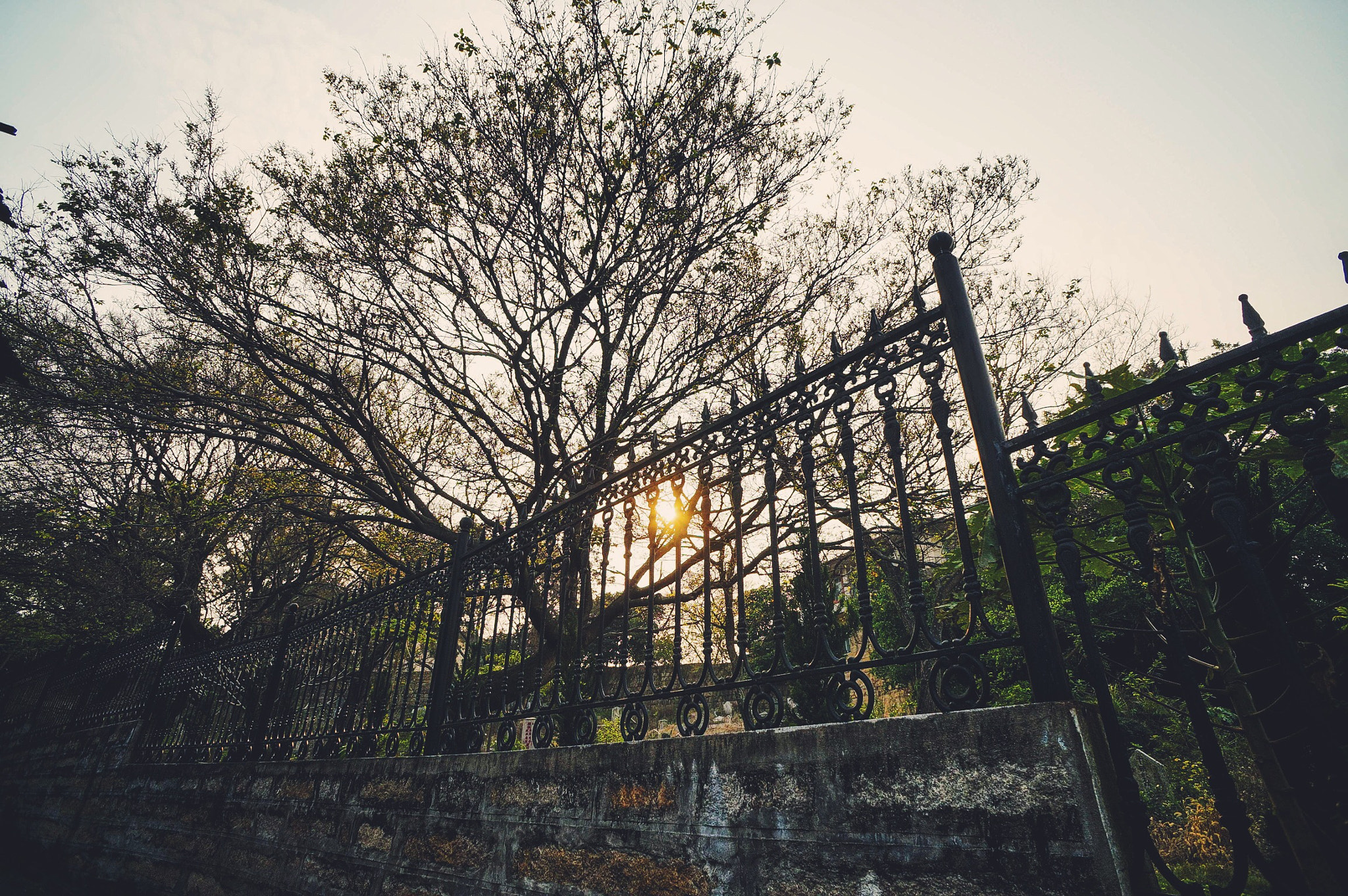 Sony Alpha NEX-5R + Sony E 16mm F2.8 sample photo