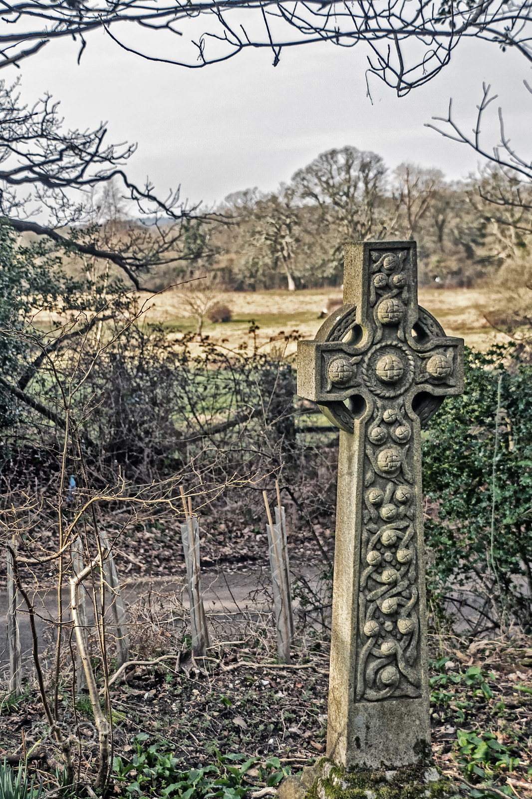 Sony DT 18-250mm F3.5-6.3 sample photo. Celtic gravestone 2 photography
