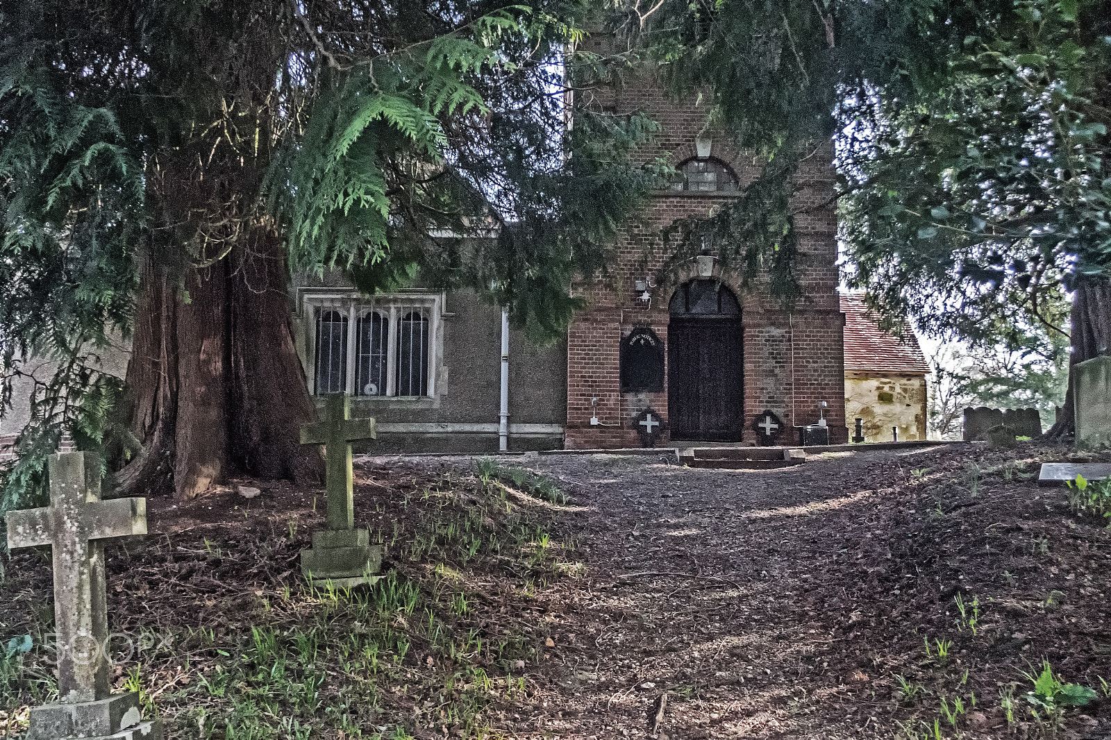 Sony DT 18-250mm F3.5-6.3 sample photo. Graveyard pathway photography
