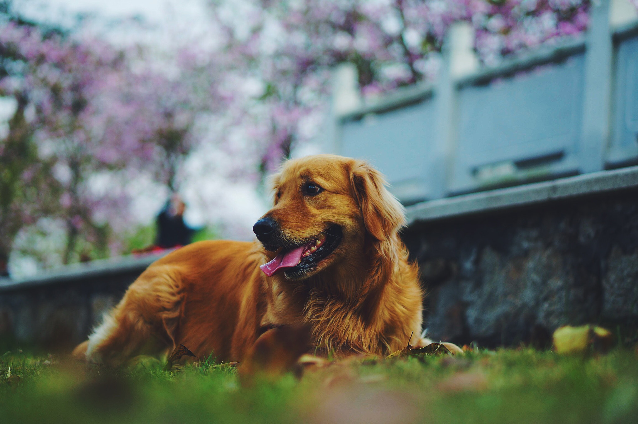 Sony Alpha NEX-5R sample photo