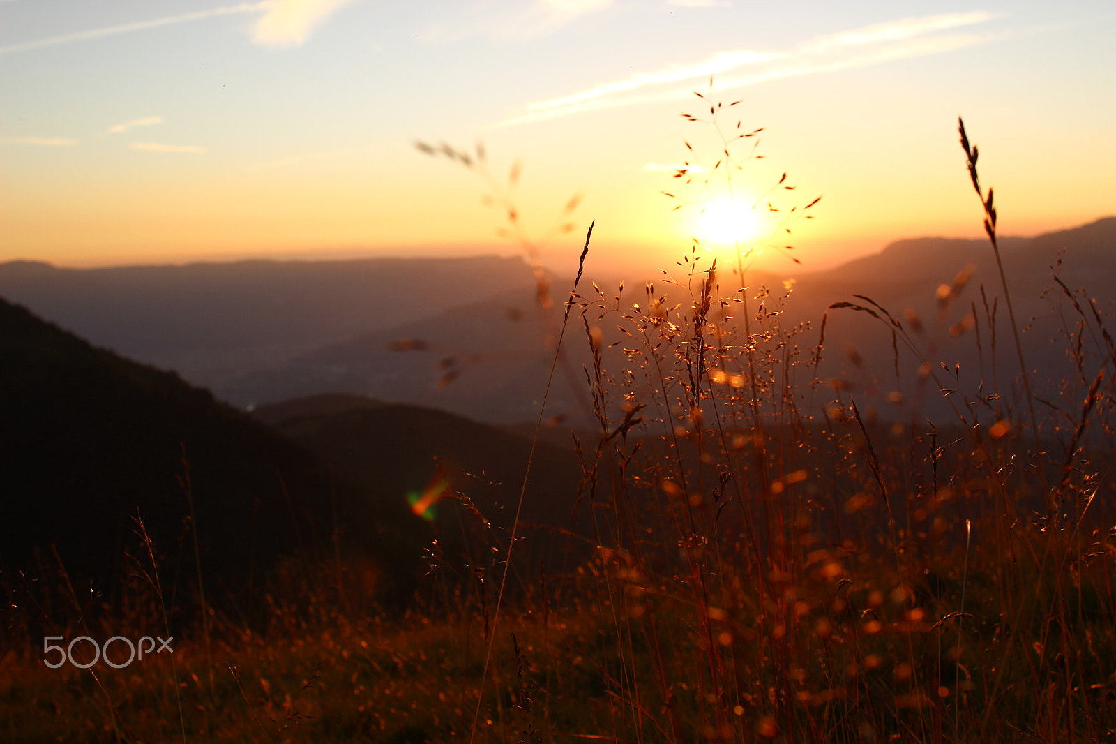 Canon EOS 600D (Rebel EOS T3i / EOS Kiss X5) sample photo. Blade of grass in the sun photography