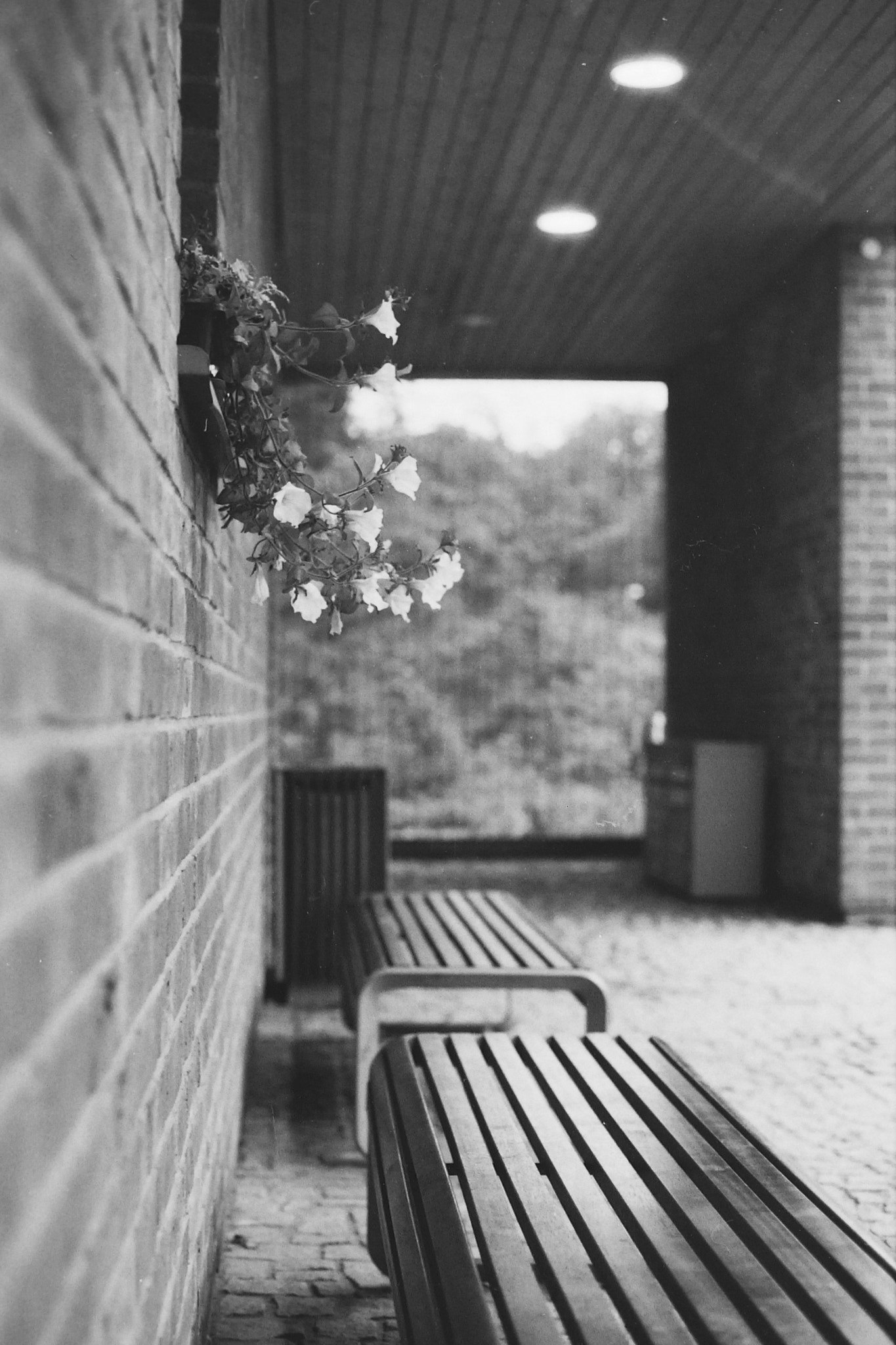 Tamron SP AF 60mm F2 Di II LD IF Macro sample photo. Train station photography