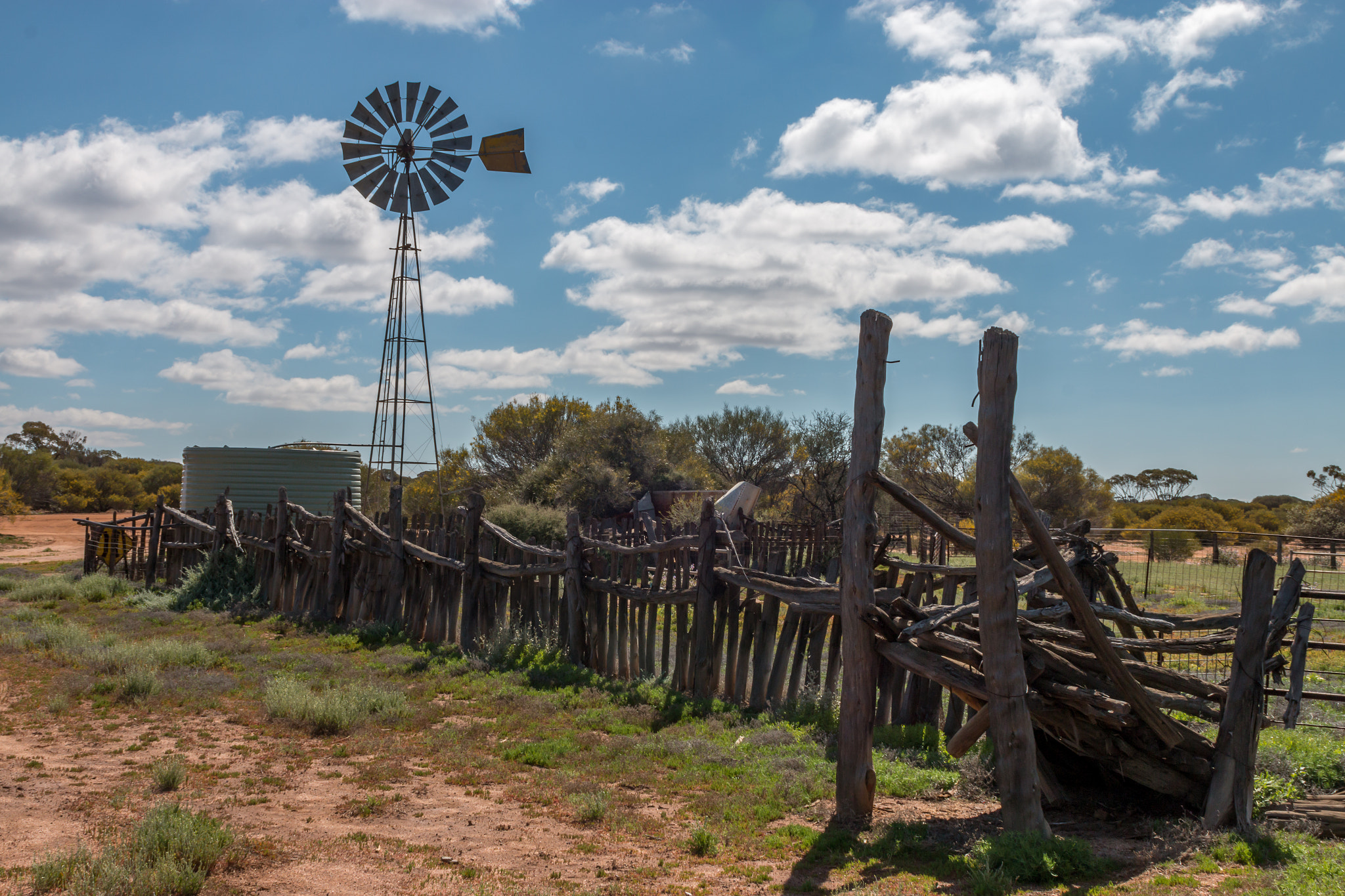 Canon EOS 70D + Canon EF 28mm F1.8 USM sample photo. Iconic sheep station water tank photography