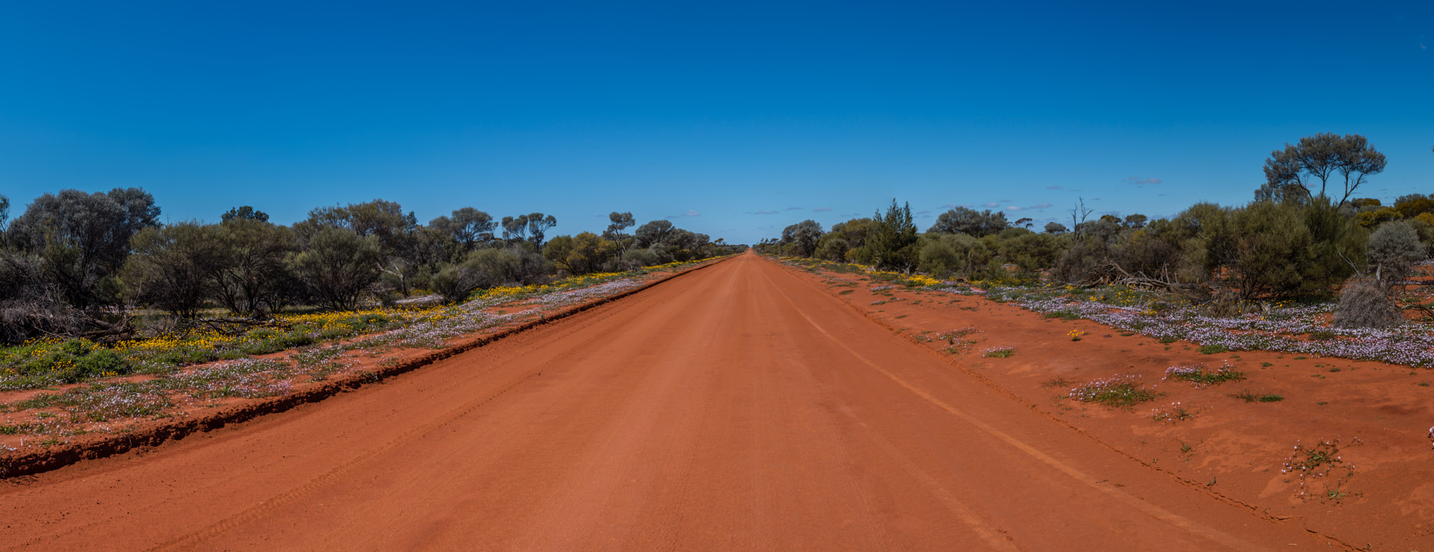 Canon EOS 70D + Canon EF 28mm F1.8 USM sample photo. Outback road western australia photography