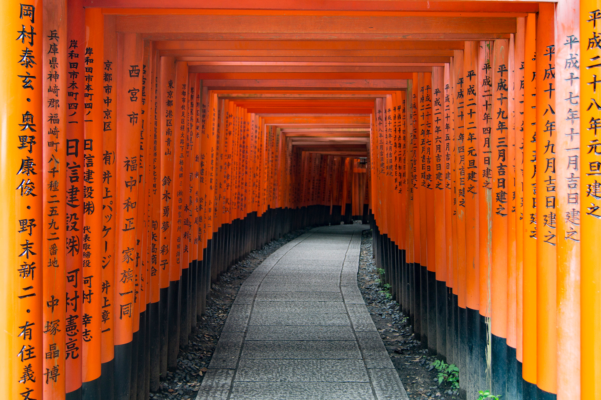 Sony SLT-A33 + Sony DT 18-55mm F3.5-5.6 SAM sample photo. Torii, fushimi inari taisha photography