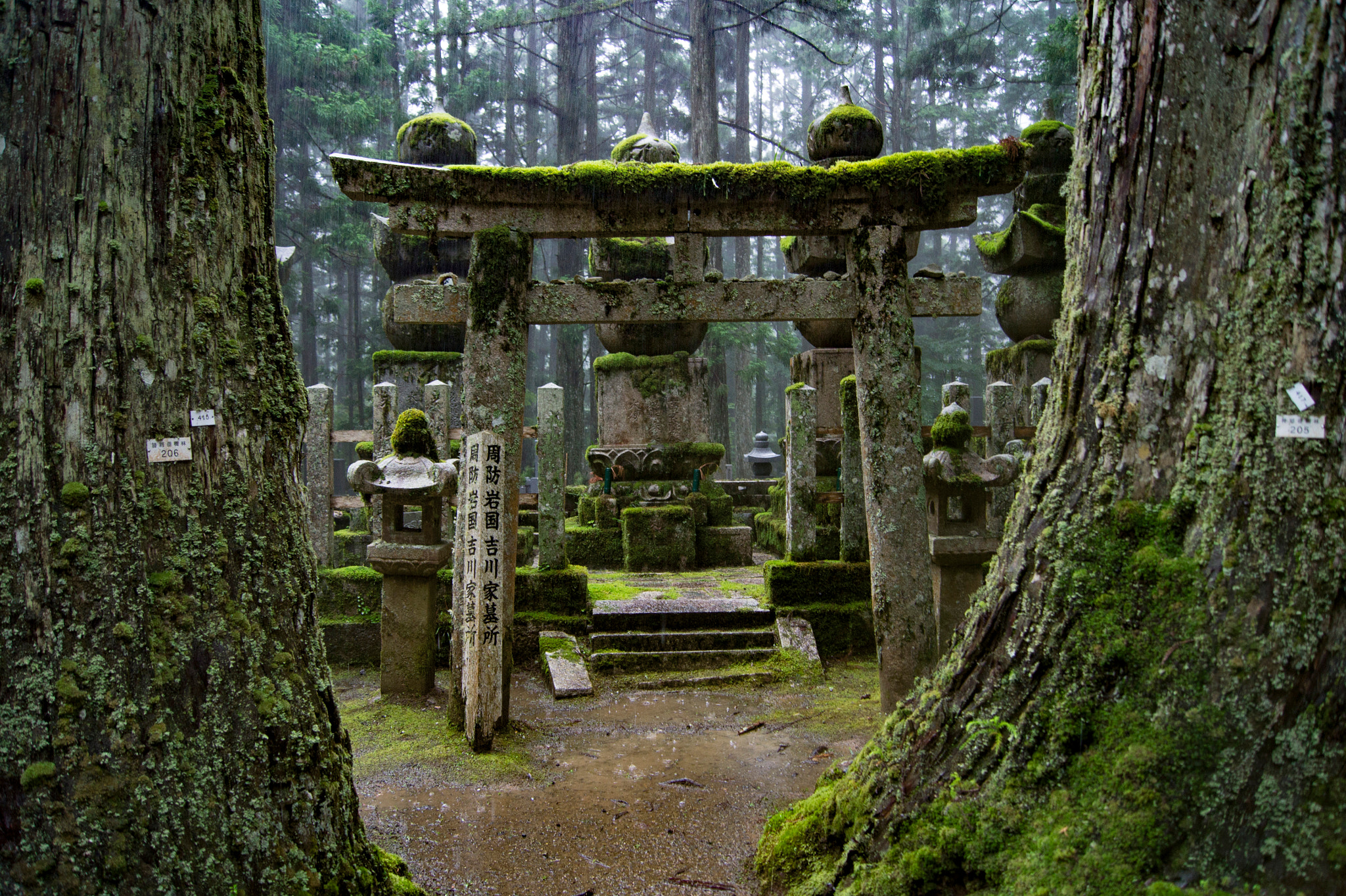 Sony SLT-A33 + Sony DT 18-55mm F3.5-5.6 SAM sample photo. Grave, koya-san photography