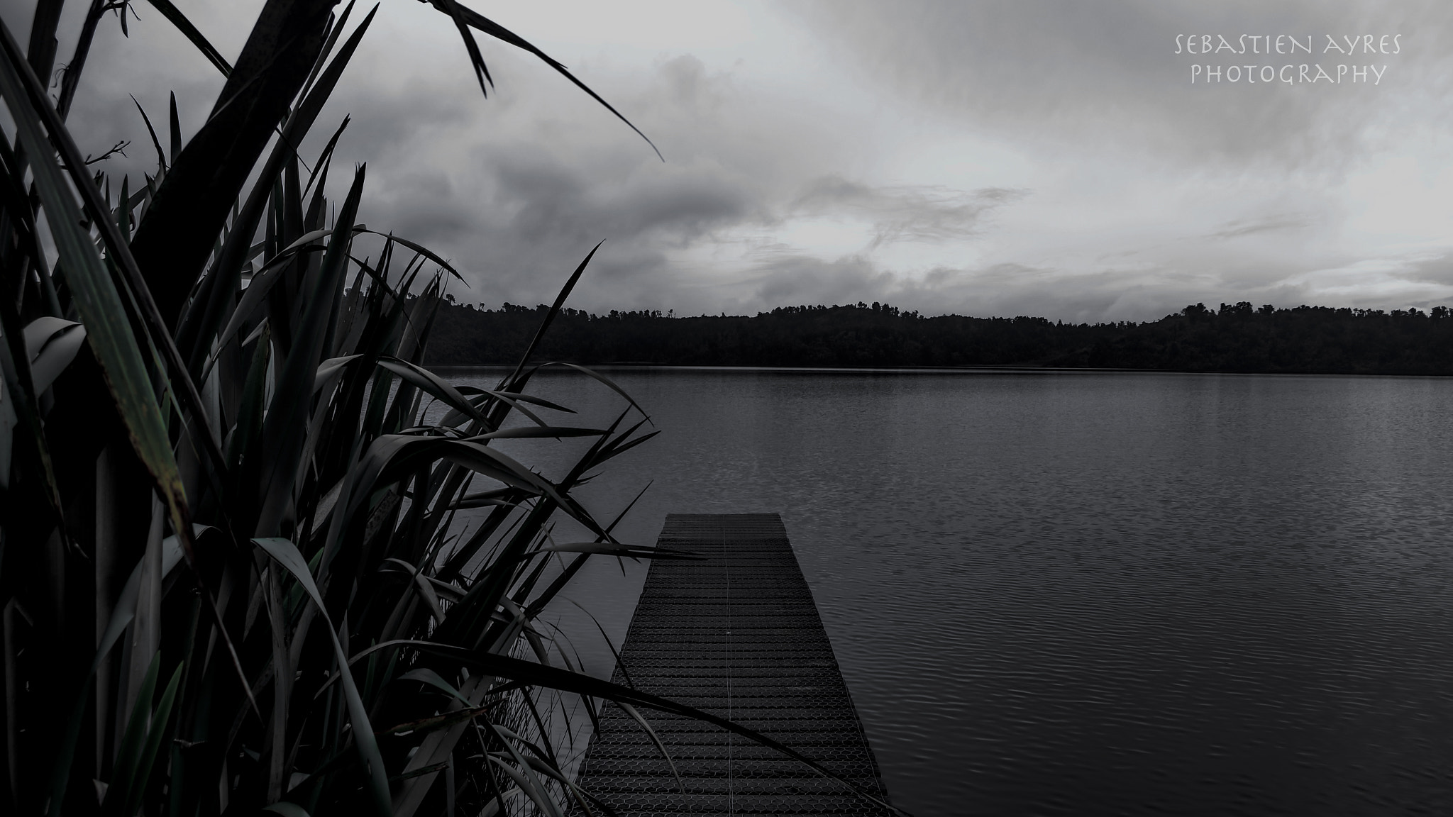 Pentax K-S2 sample photo. Ianthe 2 photography
