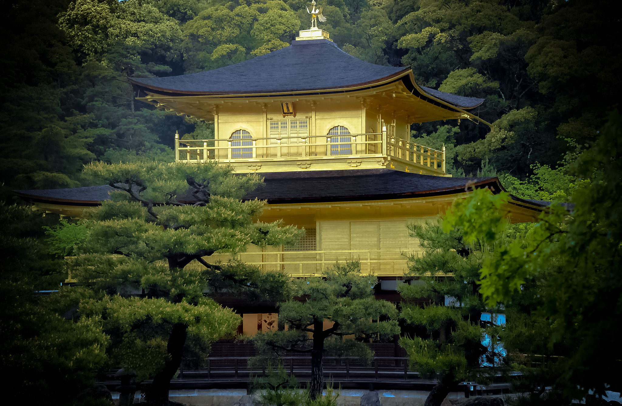 Nikon D200 sample photo. Japon photography