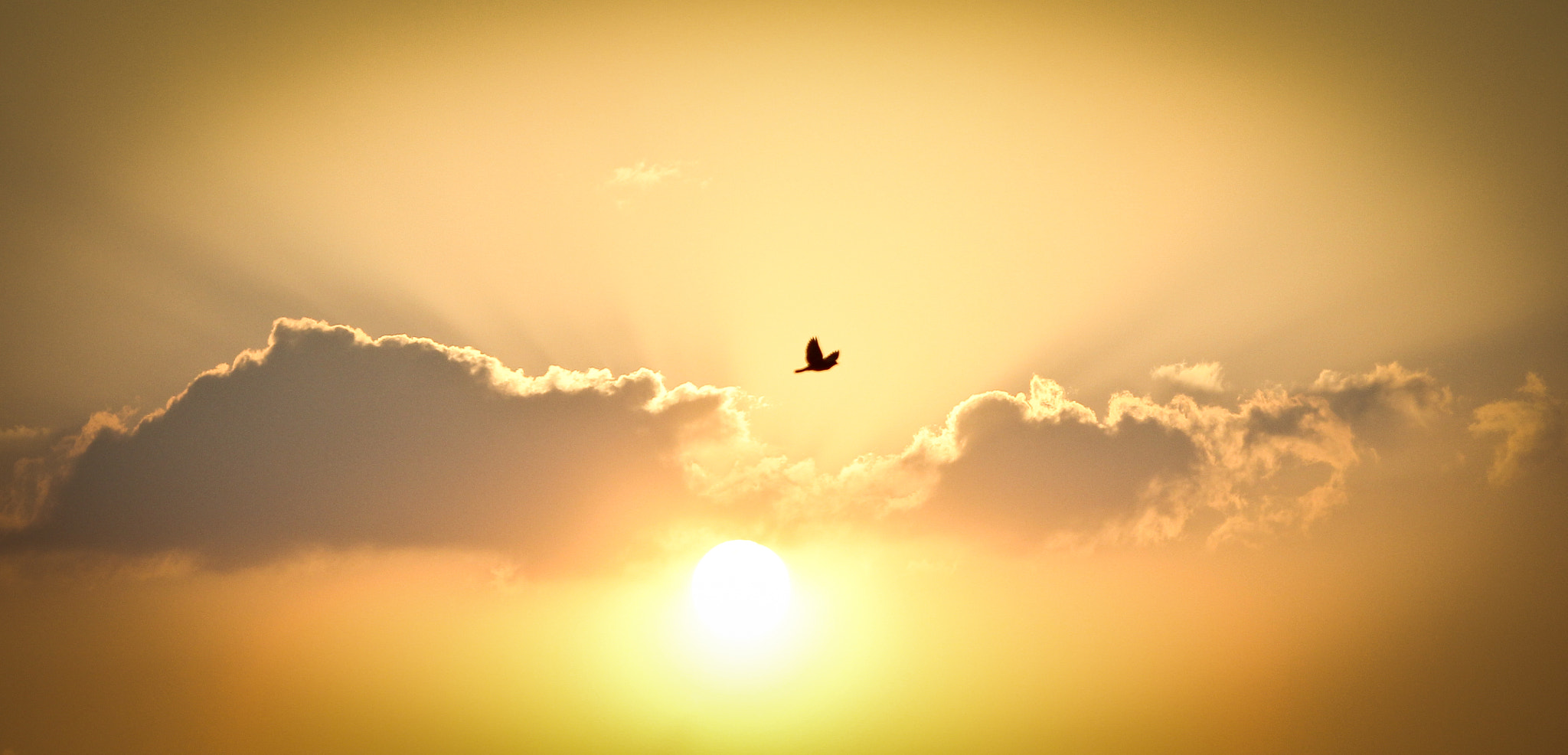 Canon EOS 550D (EOS Rebel T2i / EOS Kiss X4) sample photo. Sky is the limit  photography