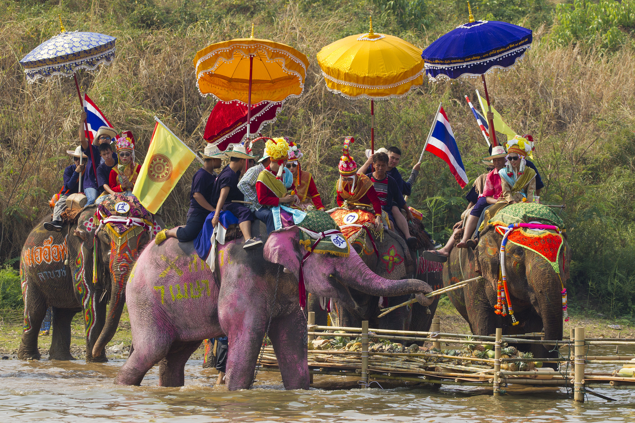 Sigma 150-600mm F5-6.3 DG OS HSM | C sample photo. Monk ordination celebration in thailand photography