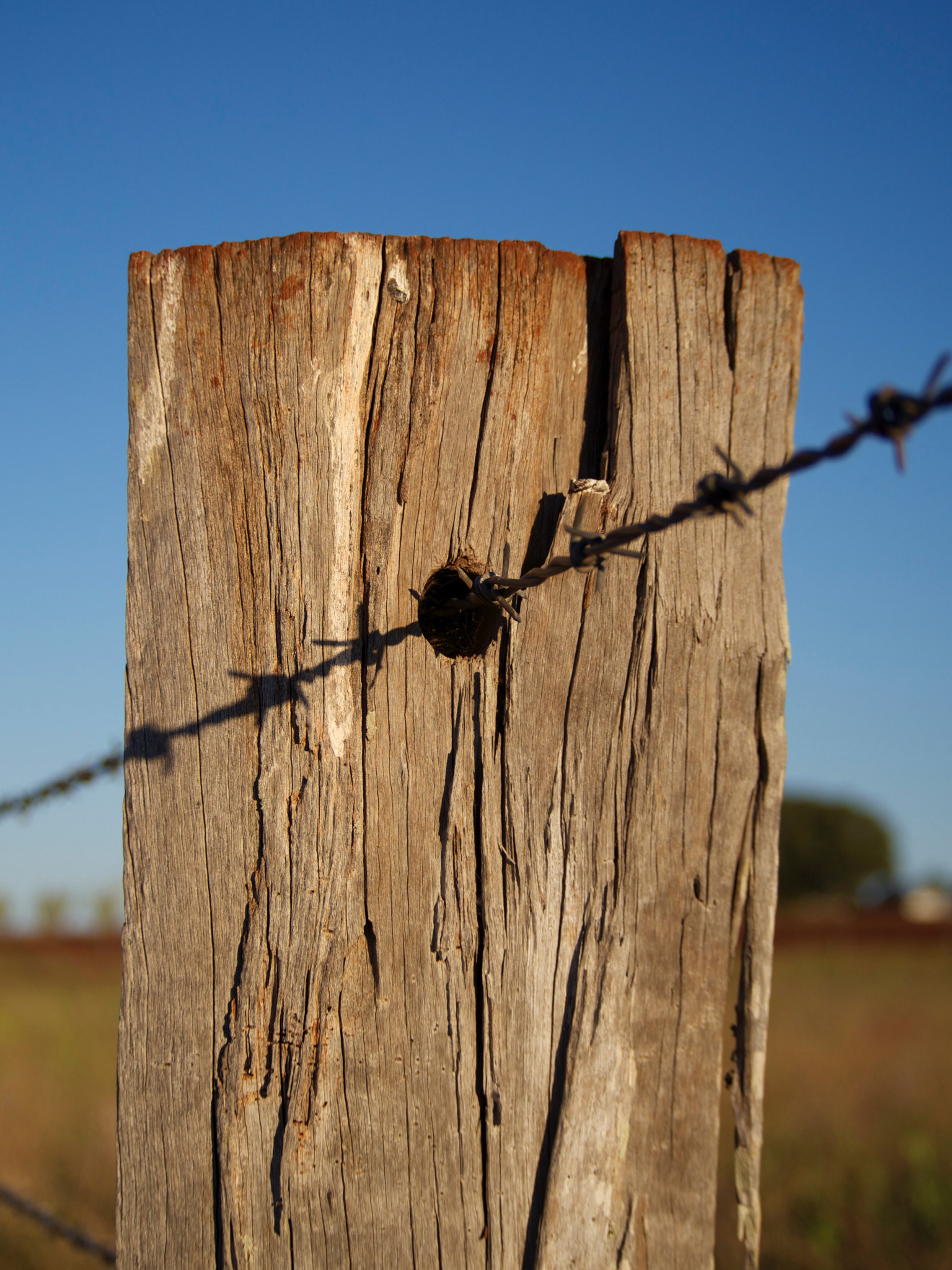 Olympus PEN E-PL5 sample photo. The wire photography