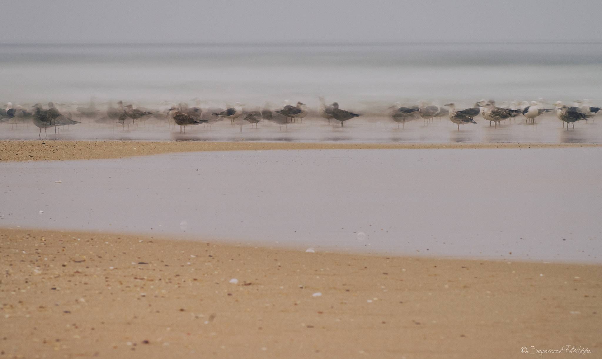 Pentax K-5 sample photo. Ghost beach photography