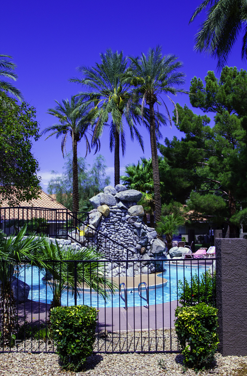 Tamron AF 19-35mm f/3.5-4.5 sample photo. Pool and palms in las vegas.  sky and water.  pola ... photography