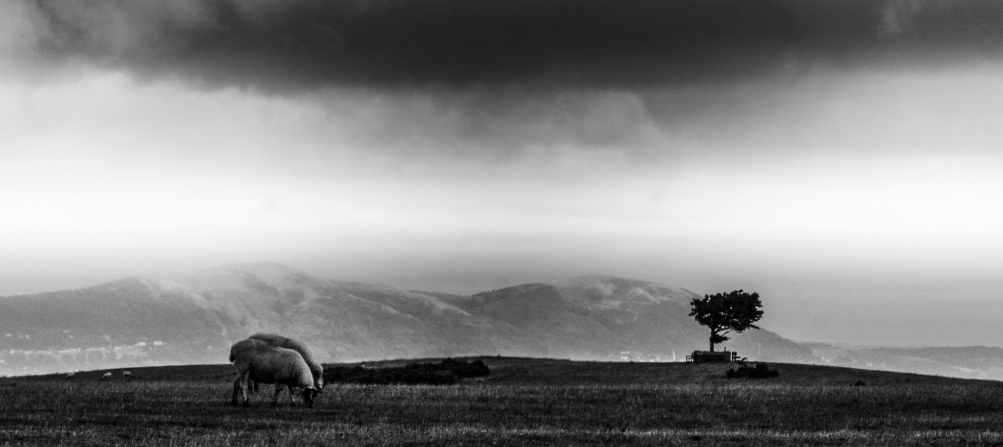 Sony Alpha DSLR-A700 + Minolta AF 70-210mm F4 Macro sample photo. Into the distance photography
