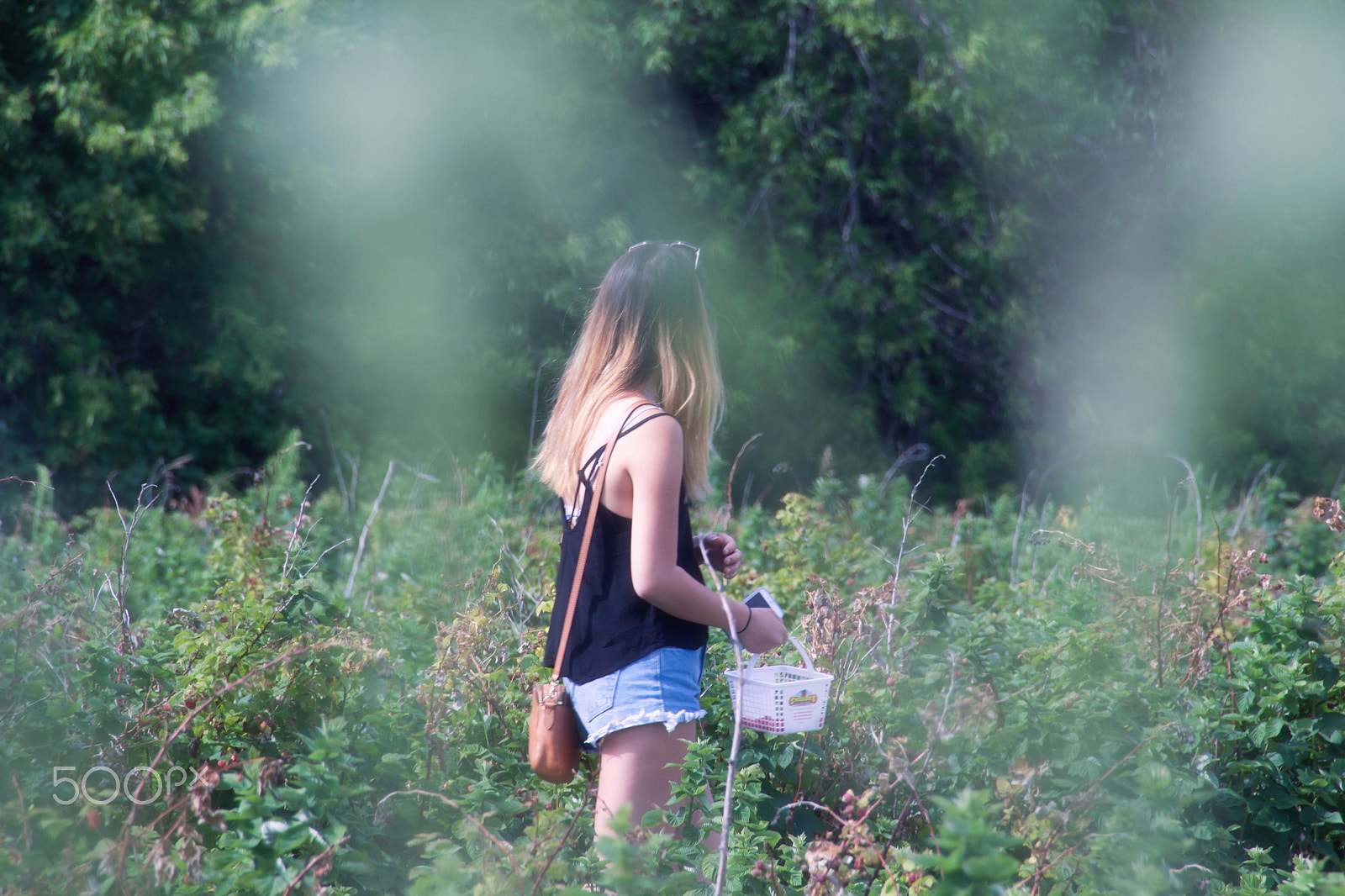 Canon EOS 650D (EOS Rebel T4i / EOS Kiss X6i) sample photo. Strawberry picking photography