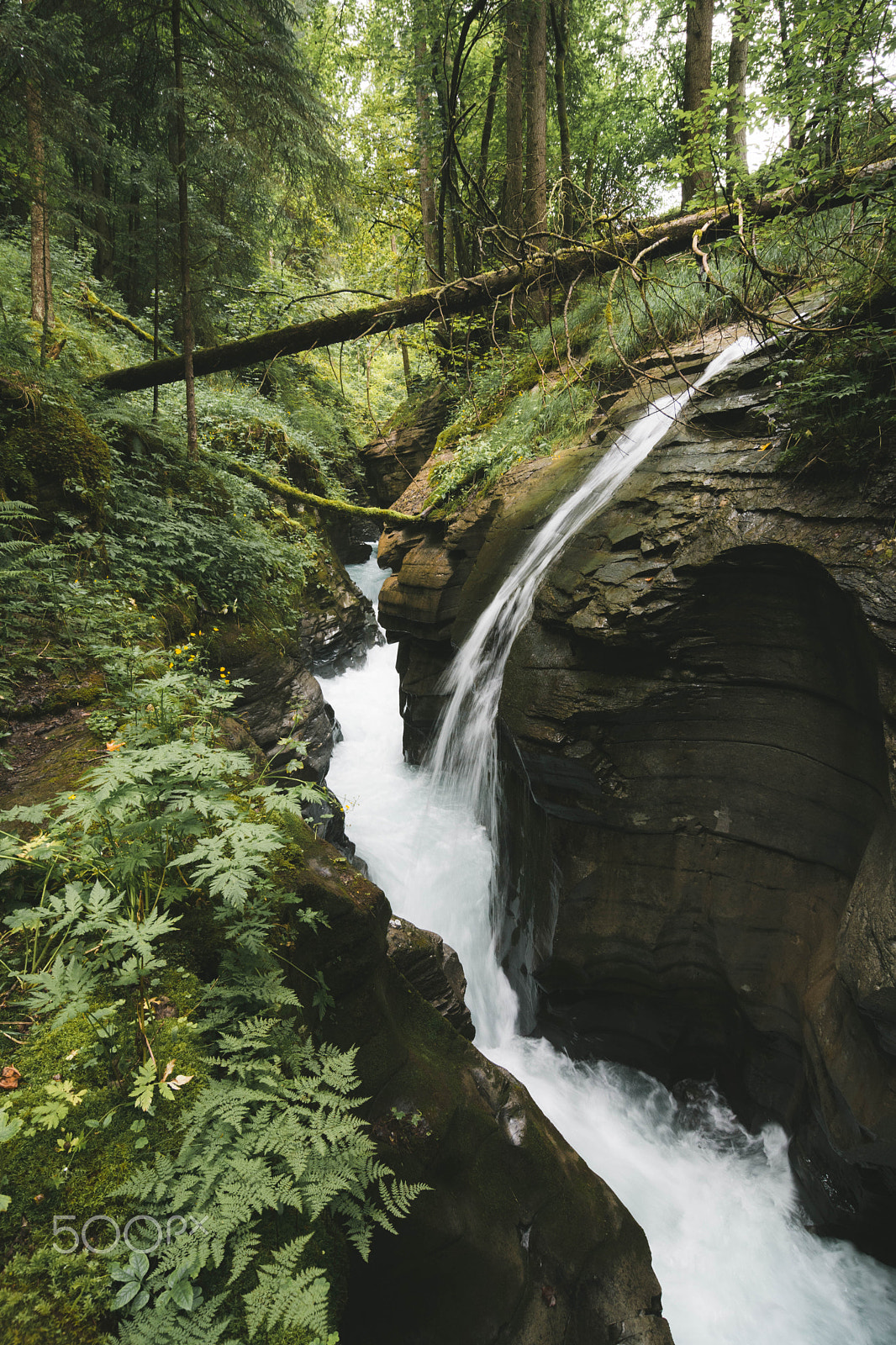Tokina AT-X Pro 12-24mm F4 (IF) DX sample photo. Canyon photography