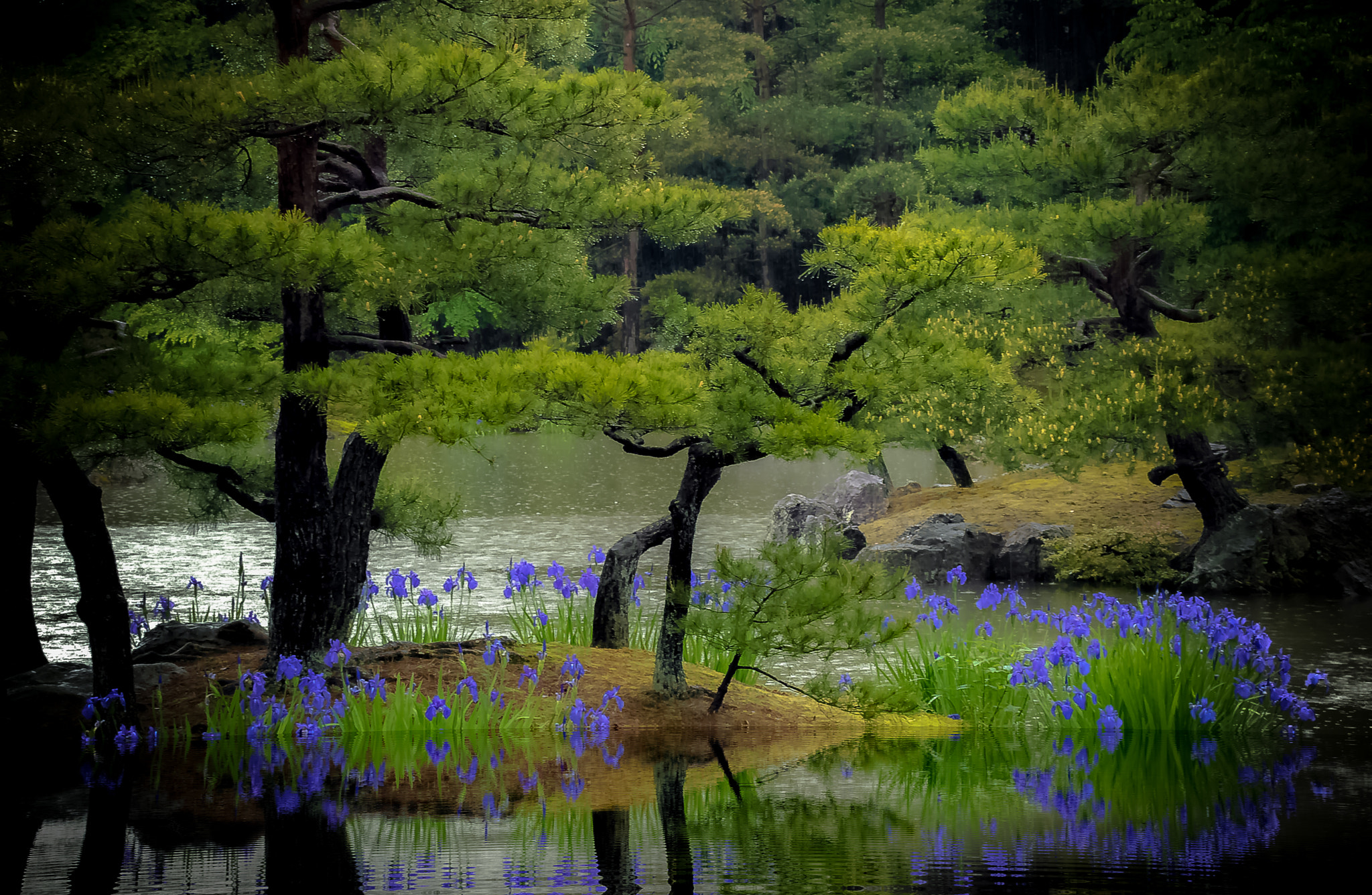 Nikon D200 sample photo. Japon photography