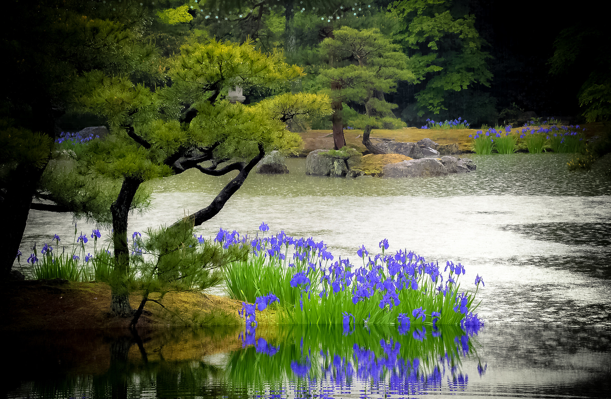 Nikon D200 sample photo. Japon photography