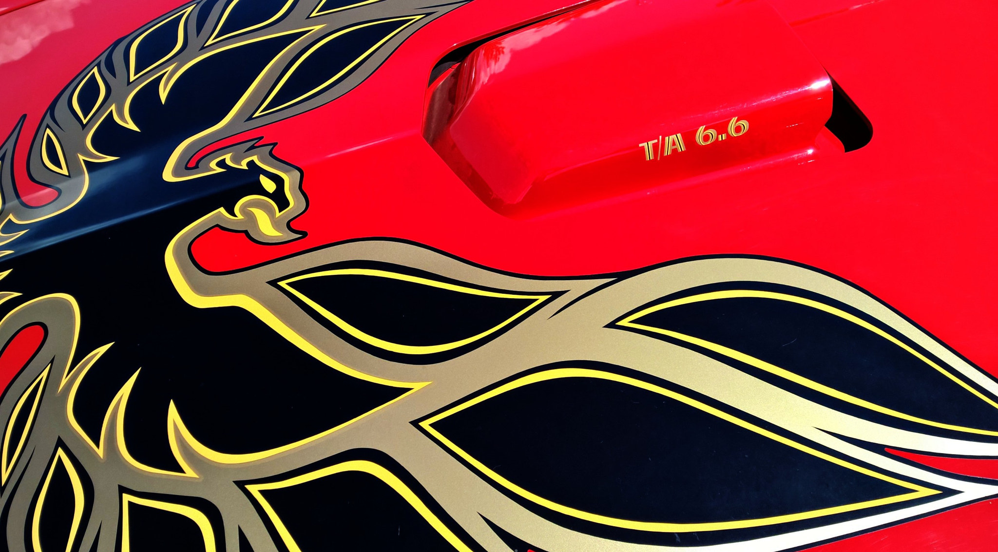Nokia Lumia 929 sample photo. Trans am yeah! photography