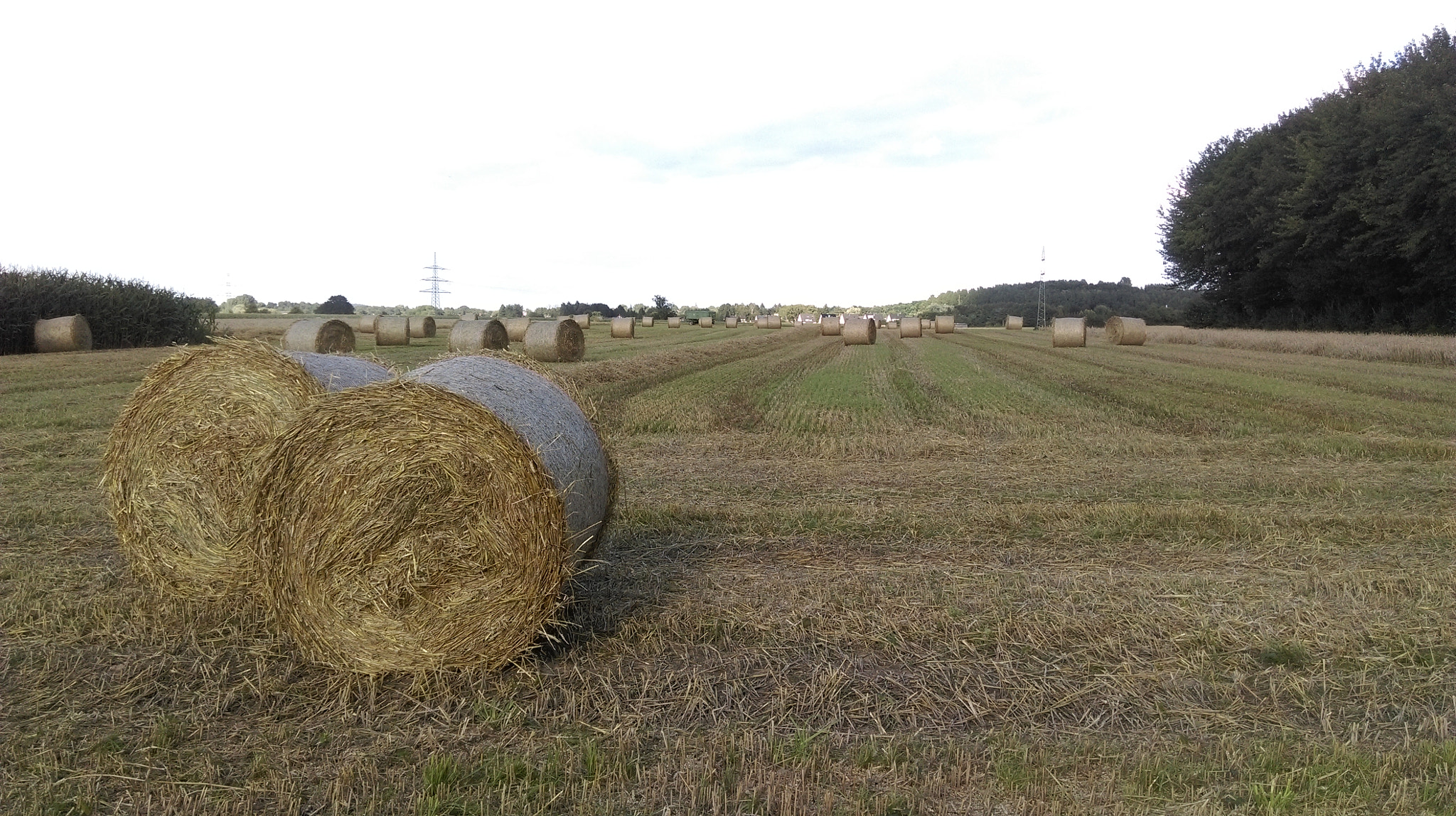 HTC DESIRE 820 sample photo. Autumn in august photography