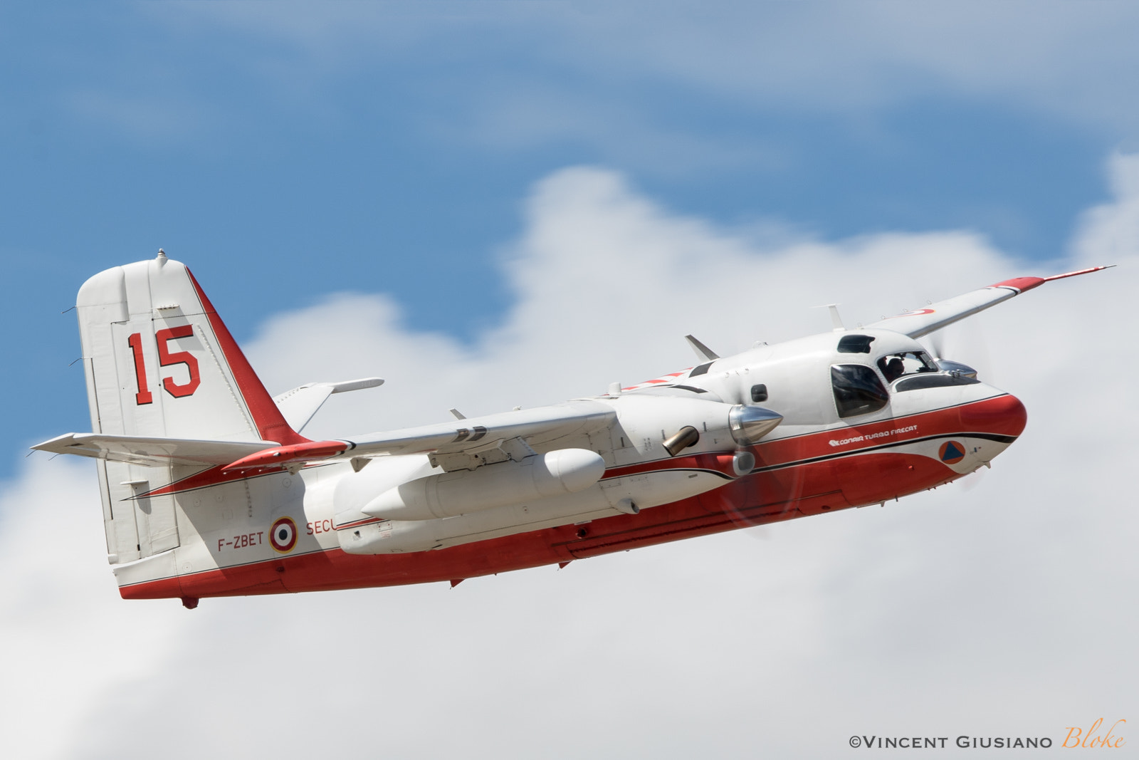 Canon EF 300mm F2.8L IS USM sample photo. Firecat photography