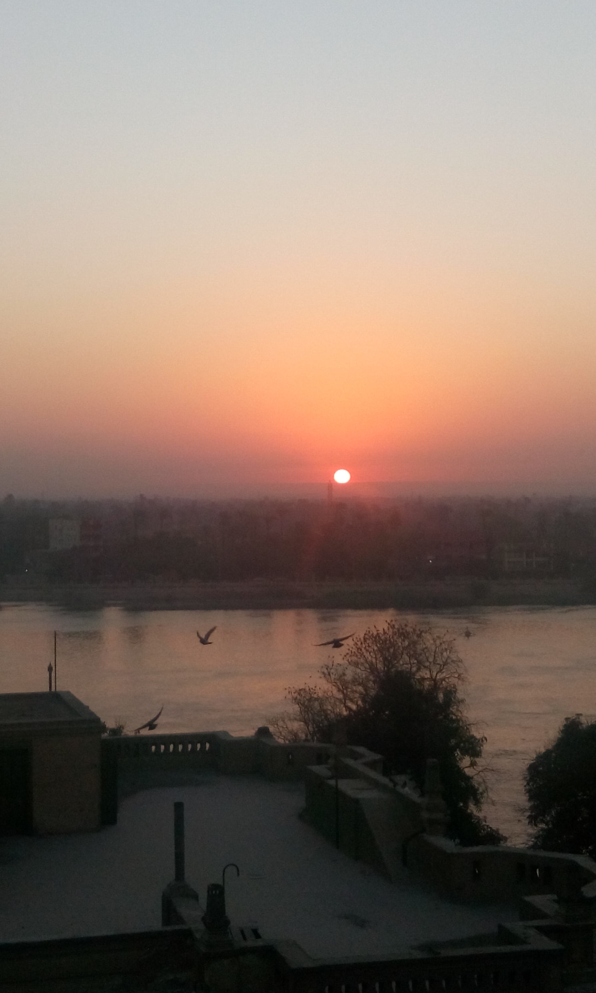 HTC DESIRE 816G DUAL SIM sample photo