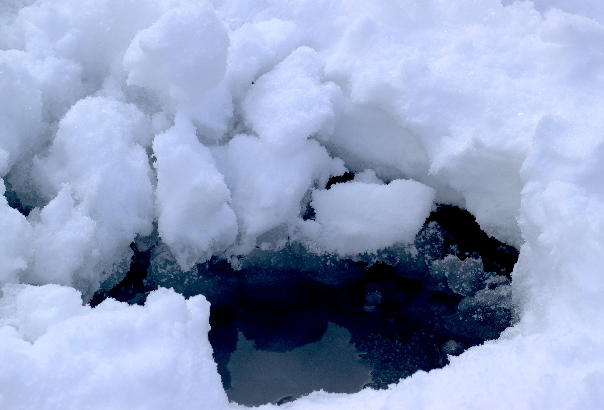 Canon EOS 500D (EOS Rebel T1i / EOS Kiss X3) + Canon EF 85mm F1.8 USM sample photo. Puddle photography