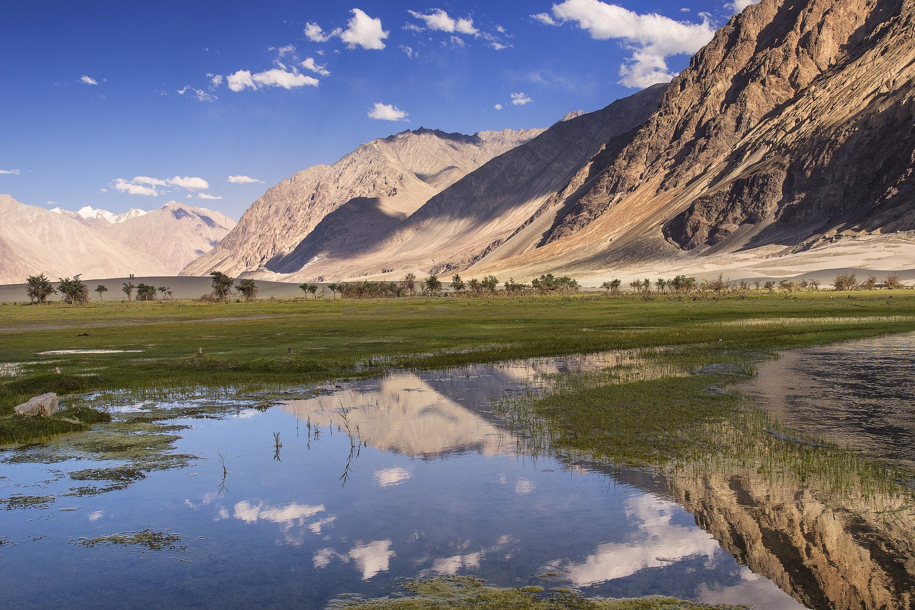 Canon EF 24-70mm F2.8L II USM sample photo. Hunda  leh photography