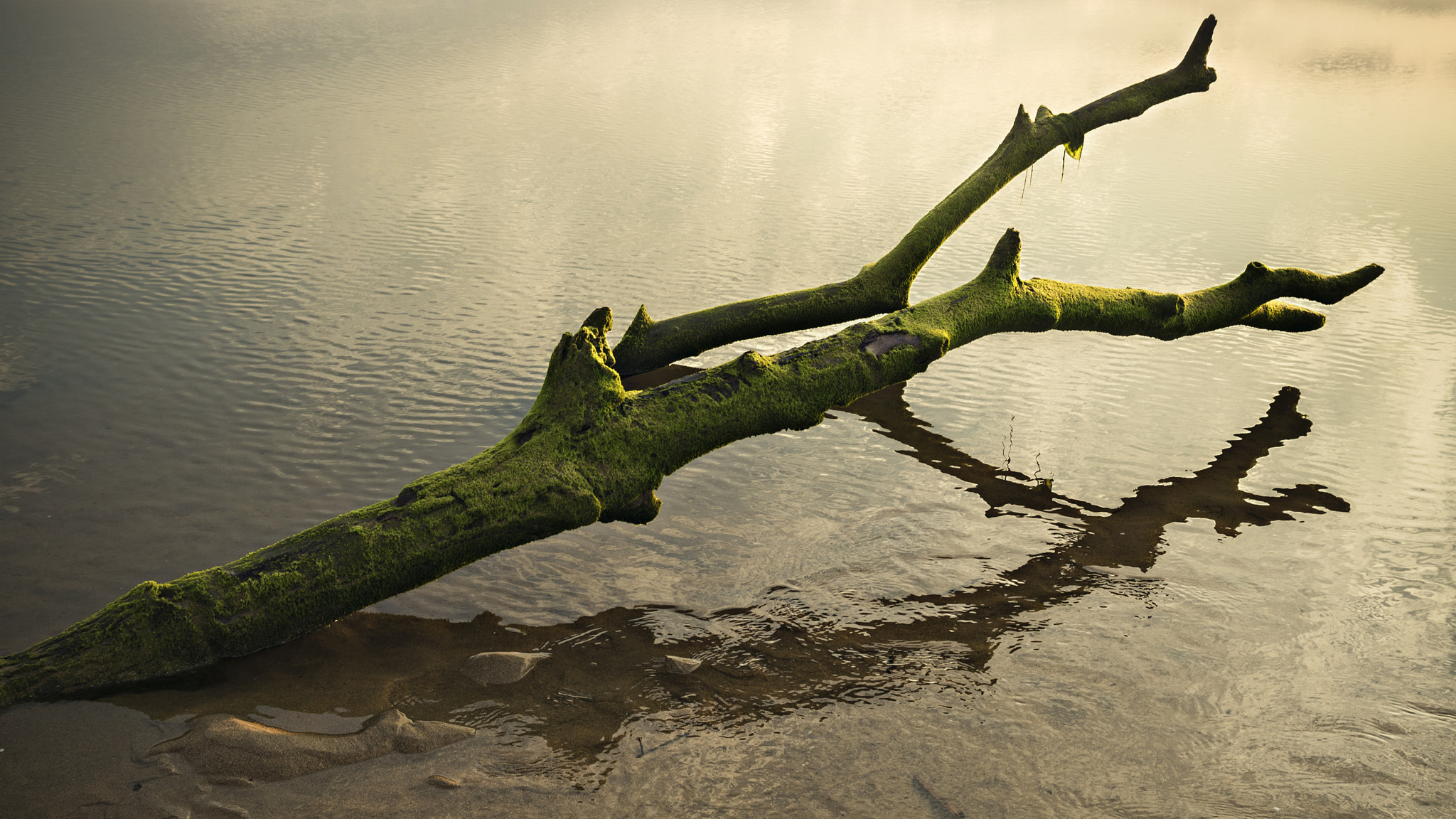 Pentax K-S1 sample photo. At low tide photography